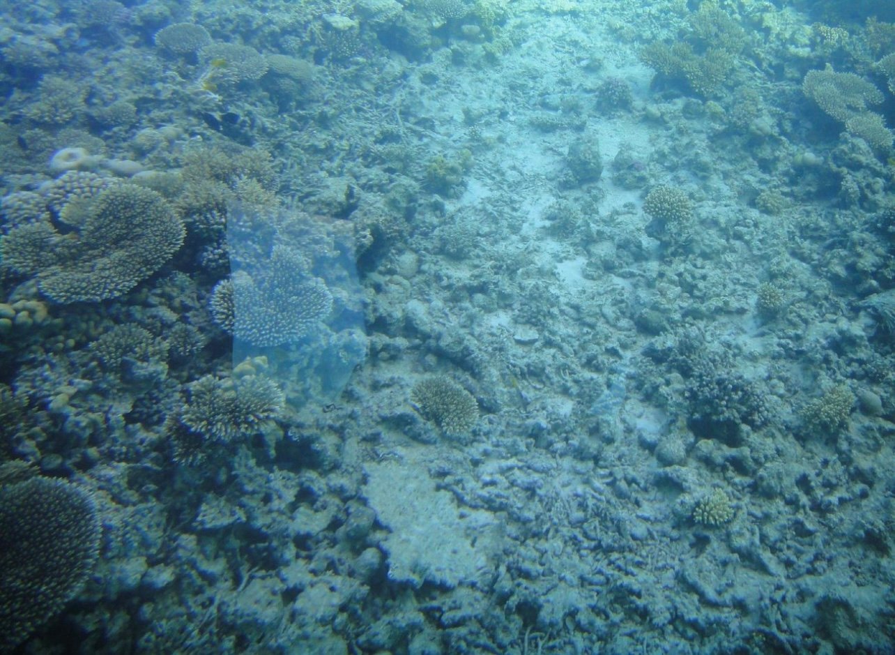 Sharm El-Sheikh Royal Seascope Semi-Submarine Cruise