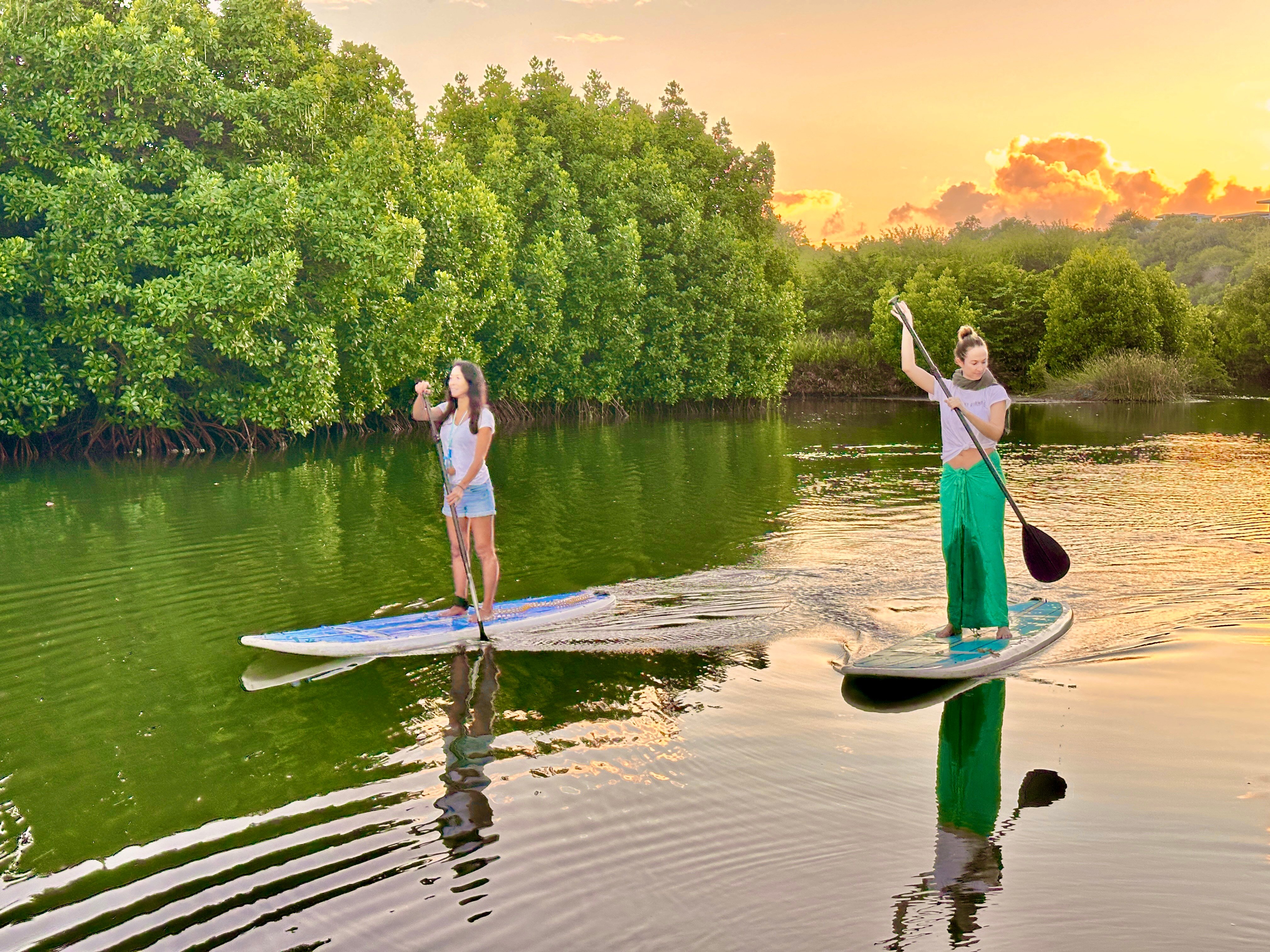 Guided Stand Up Paddleboarding on Tamarin River