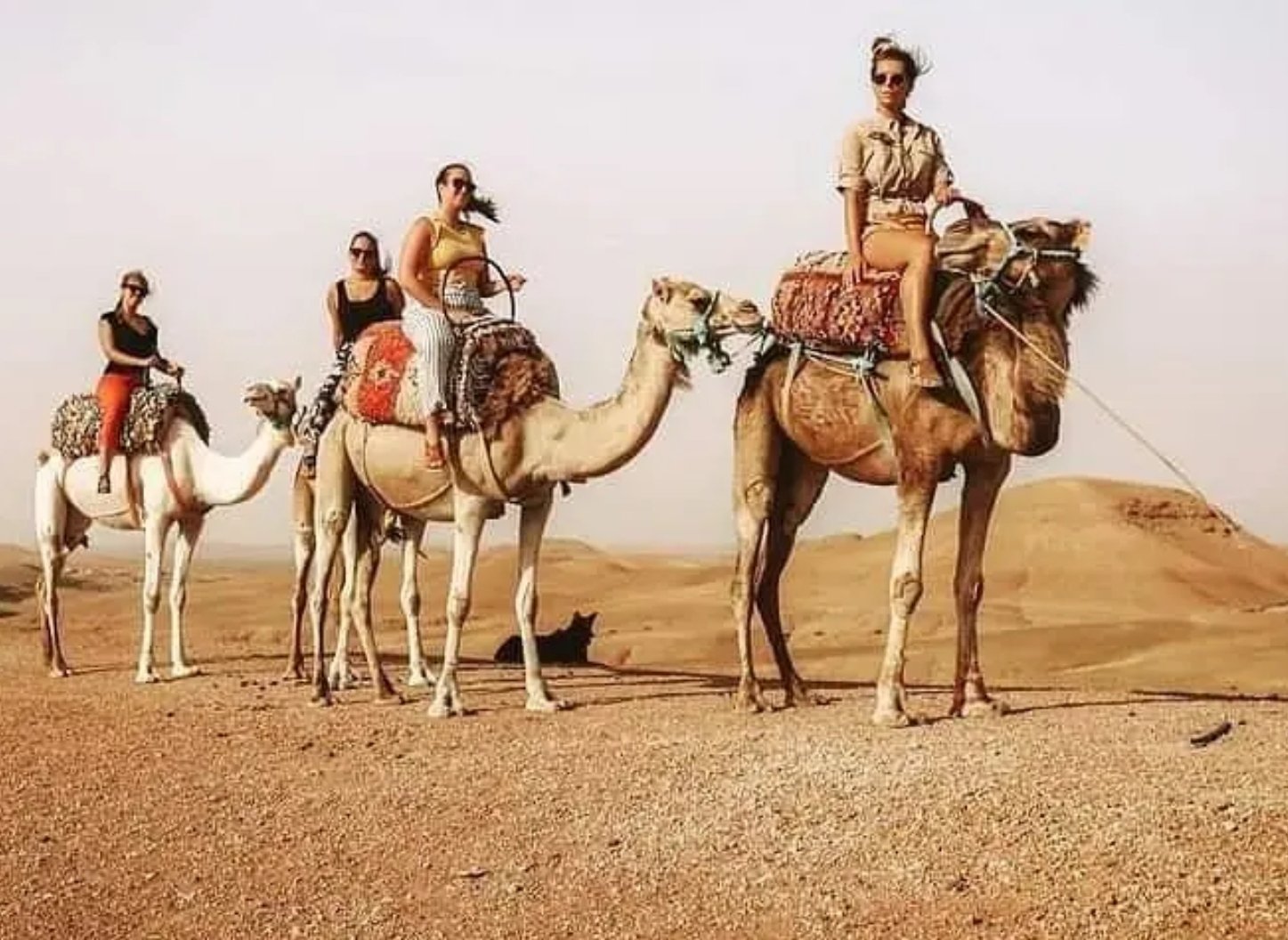 Agafay Desert Adventure: Quad Biking, Camel Ride & Berber Dinner Show