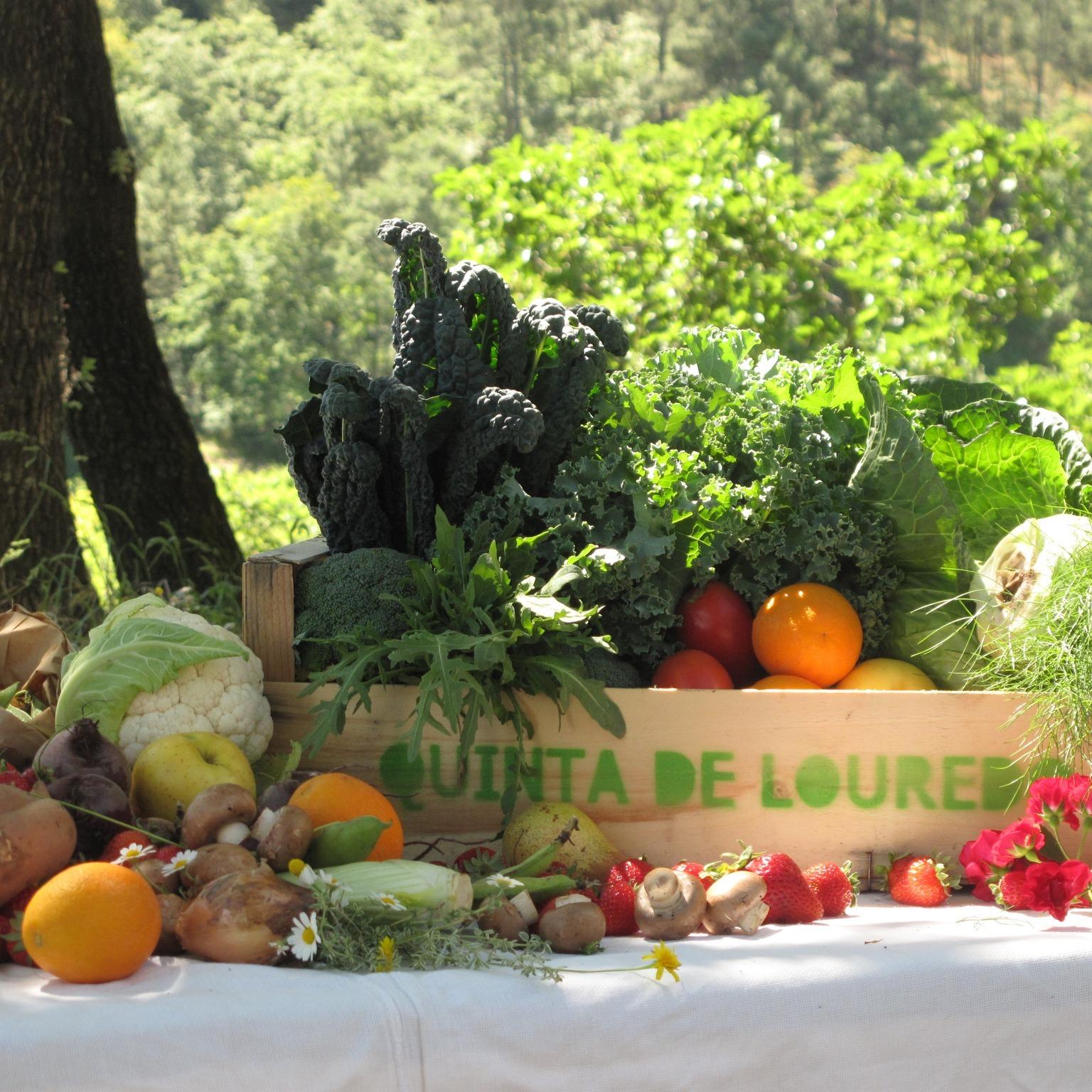 cooking class in Douro Valley — photo 14