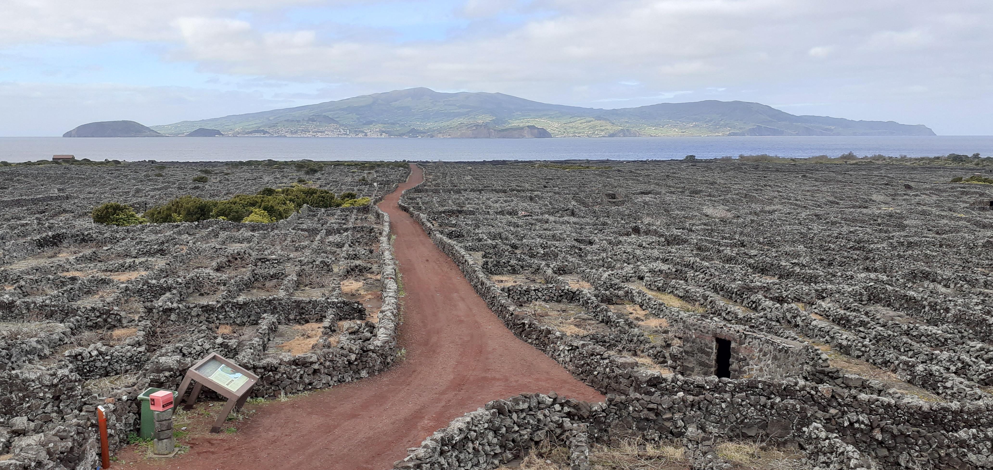 Pico Island: Volcanic Landscapes, Vineyards & Whaling Heritage Tour