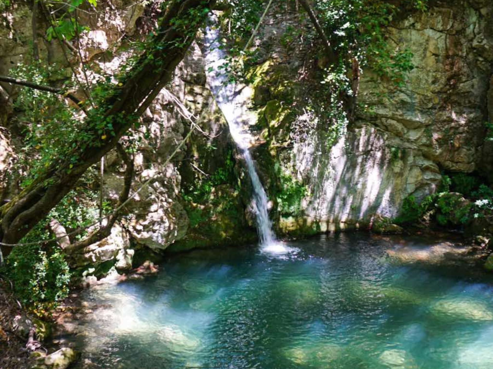 Bar: Old Town History & Rikavac Canyon Adventure