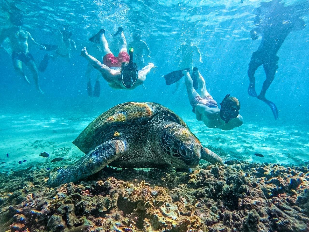 Koh Tao Hidden Bays Snorkeling Tour with Lunch