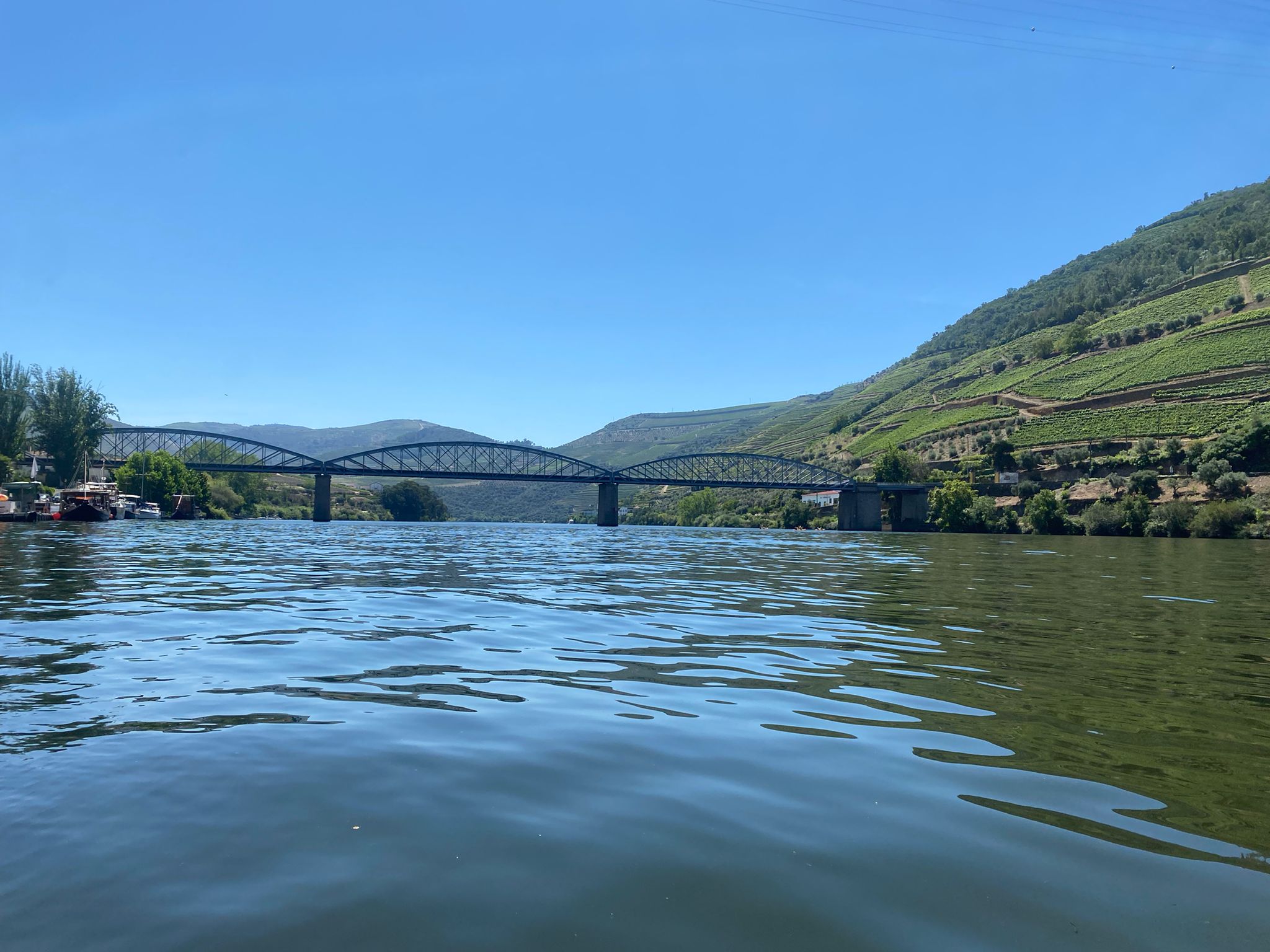 Douro Valley Small-Group Wine & River Cruise Day Trip from Porto