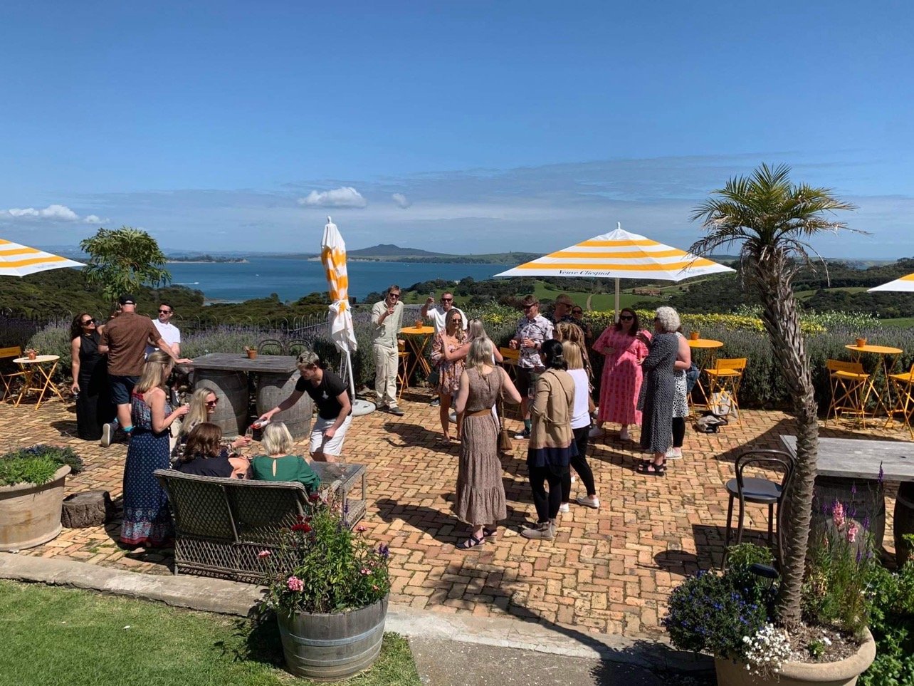 Waiheke Island wine tour — image 5