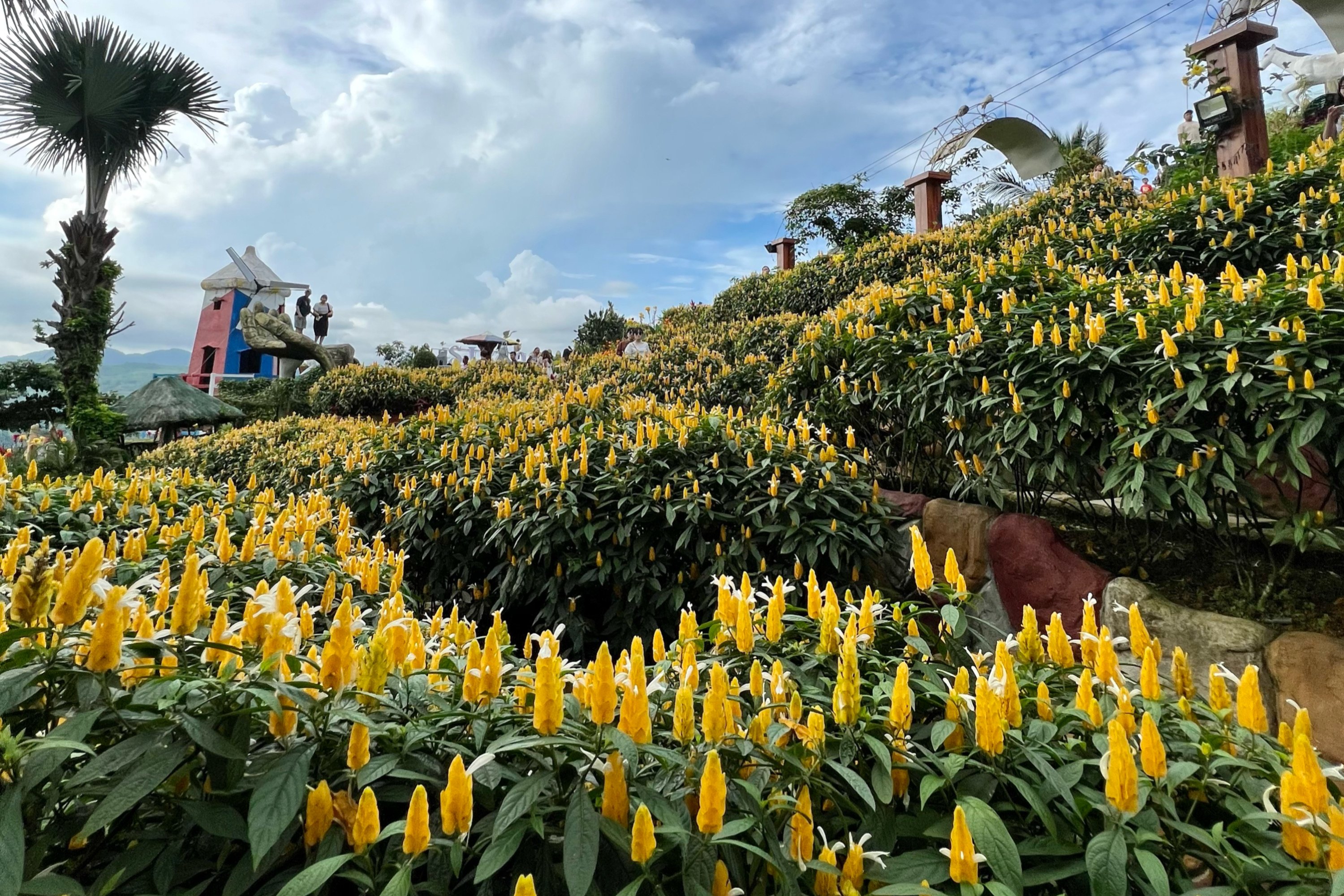 Cebu Highlands Explorer: Temples, Gardens & Panoramic Views