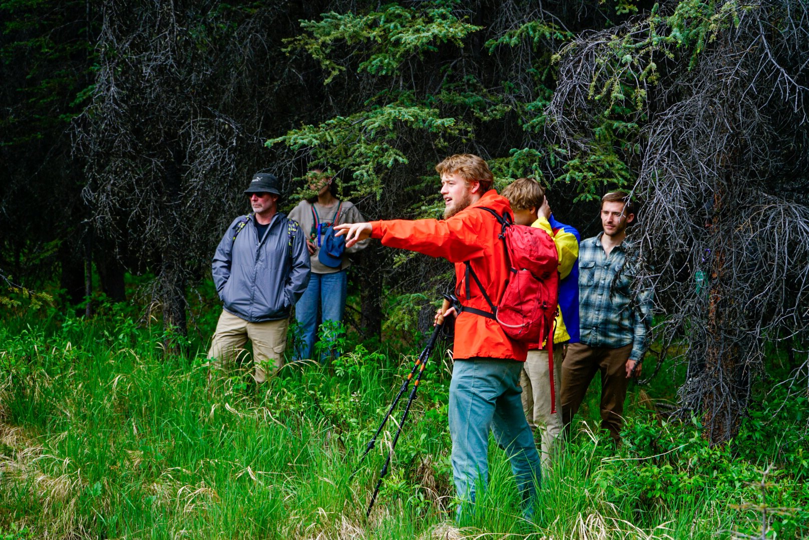 Naturalist Walking Tour in Denali National Park