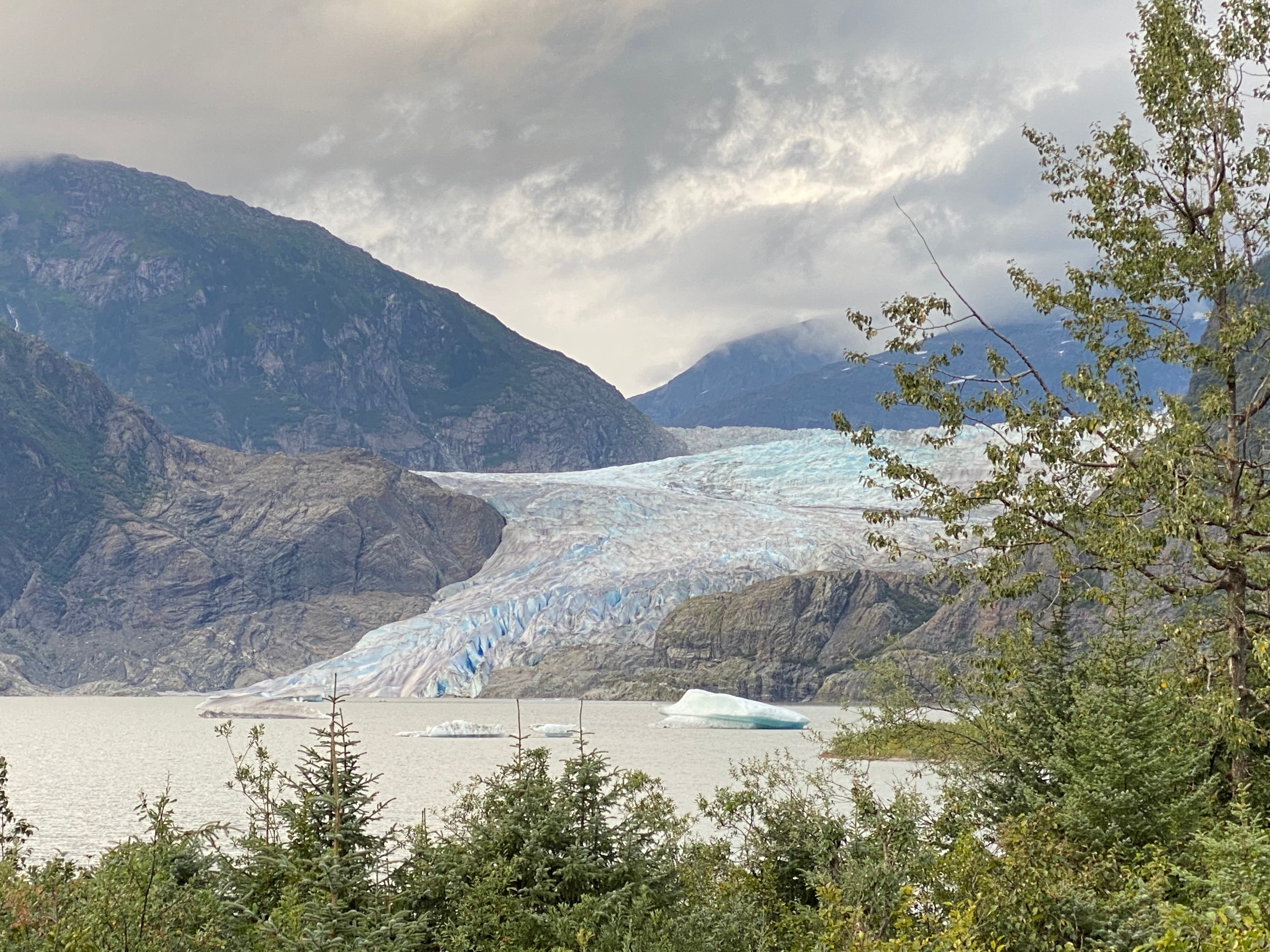 Juneau Mendenhall Glacier & Humpback Whale Watching Tour