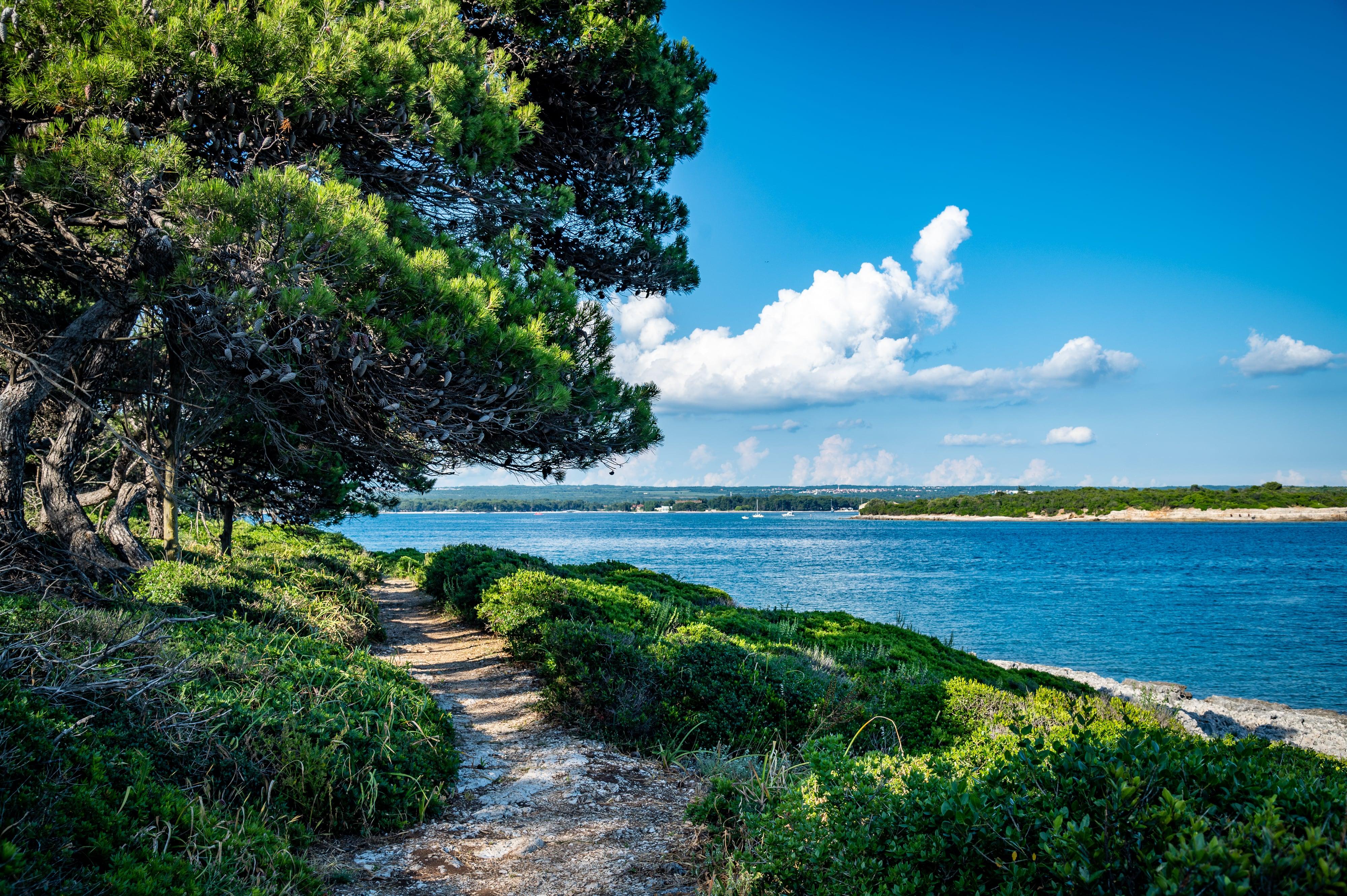 Brijuni National Park Cruise with Lunch and Swimming