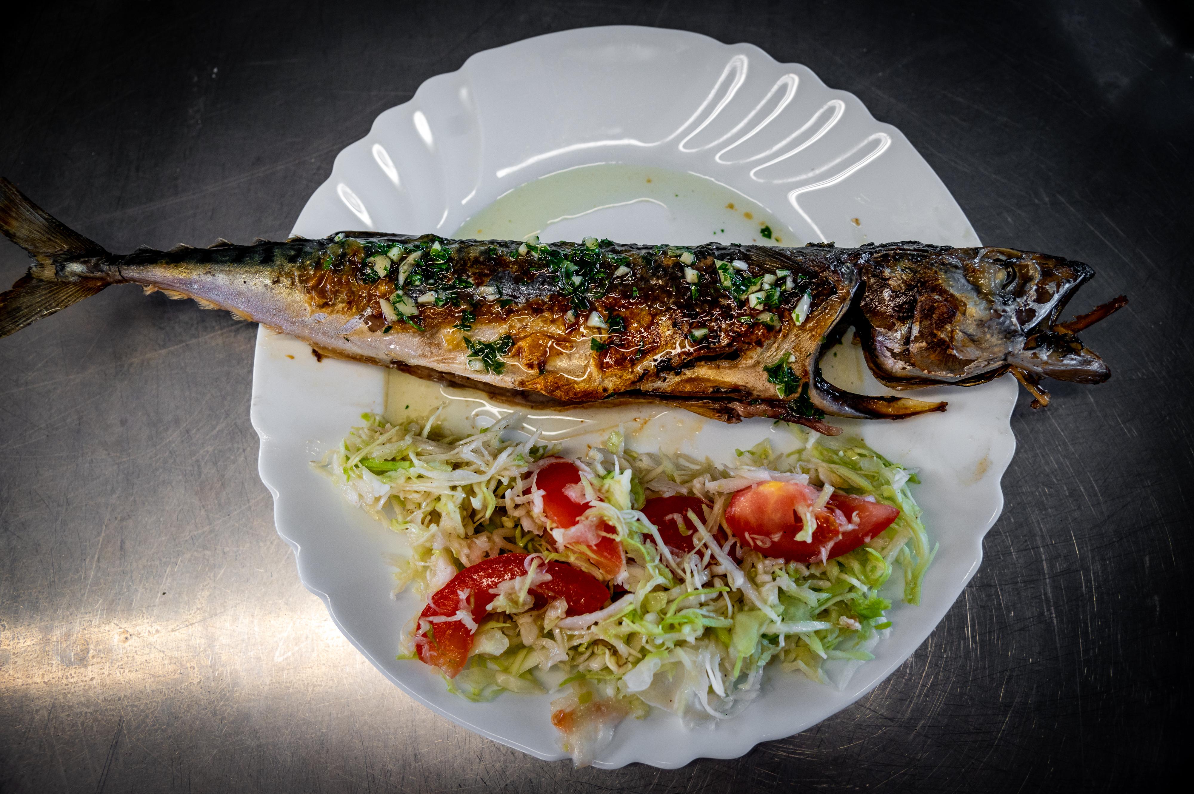 Brijuni National Park Cruise with Lunch and Swimming