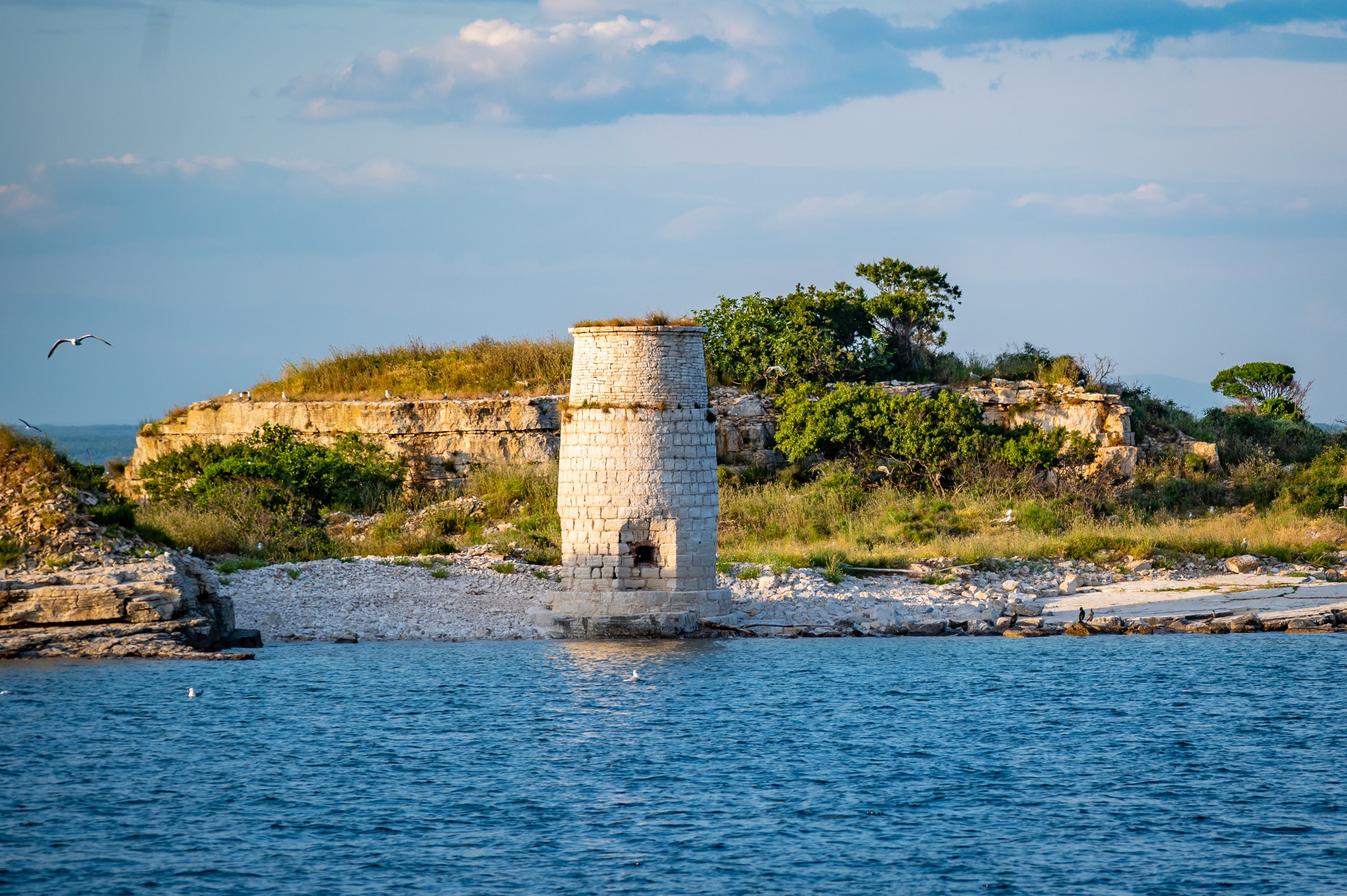 Brijuni National Park Cruise with Lunch and Swimming