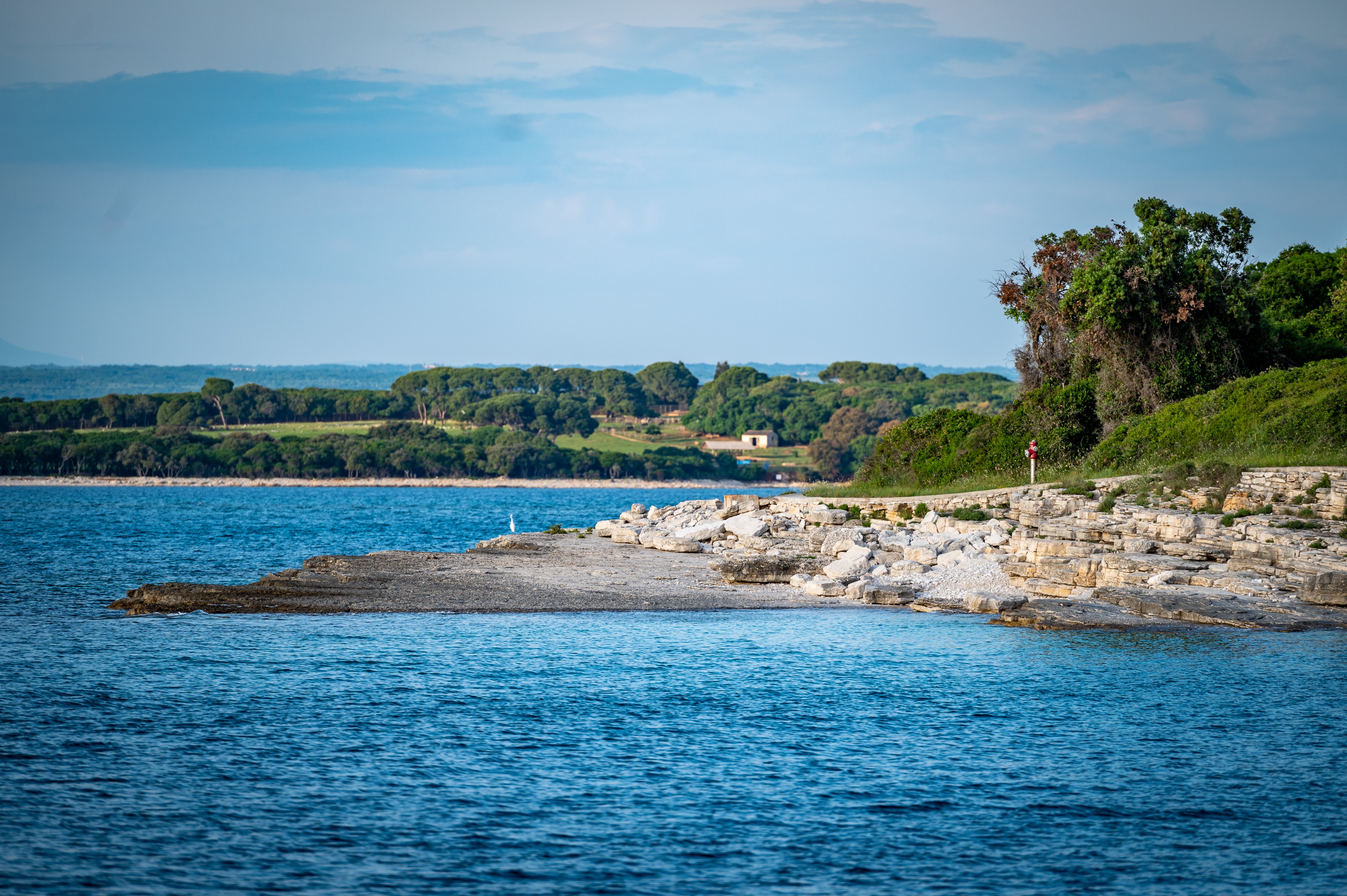 Brijuni National Park Cruise with Lunch and Swimming