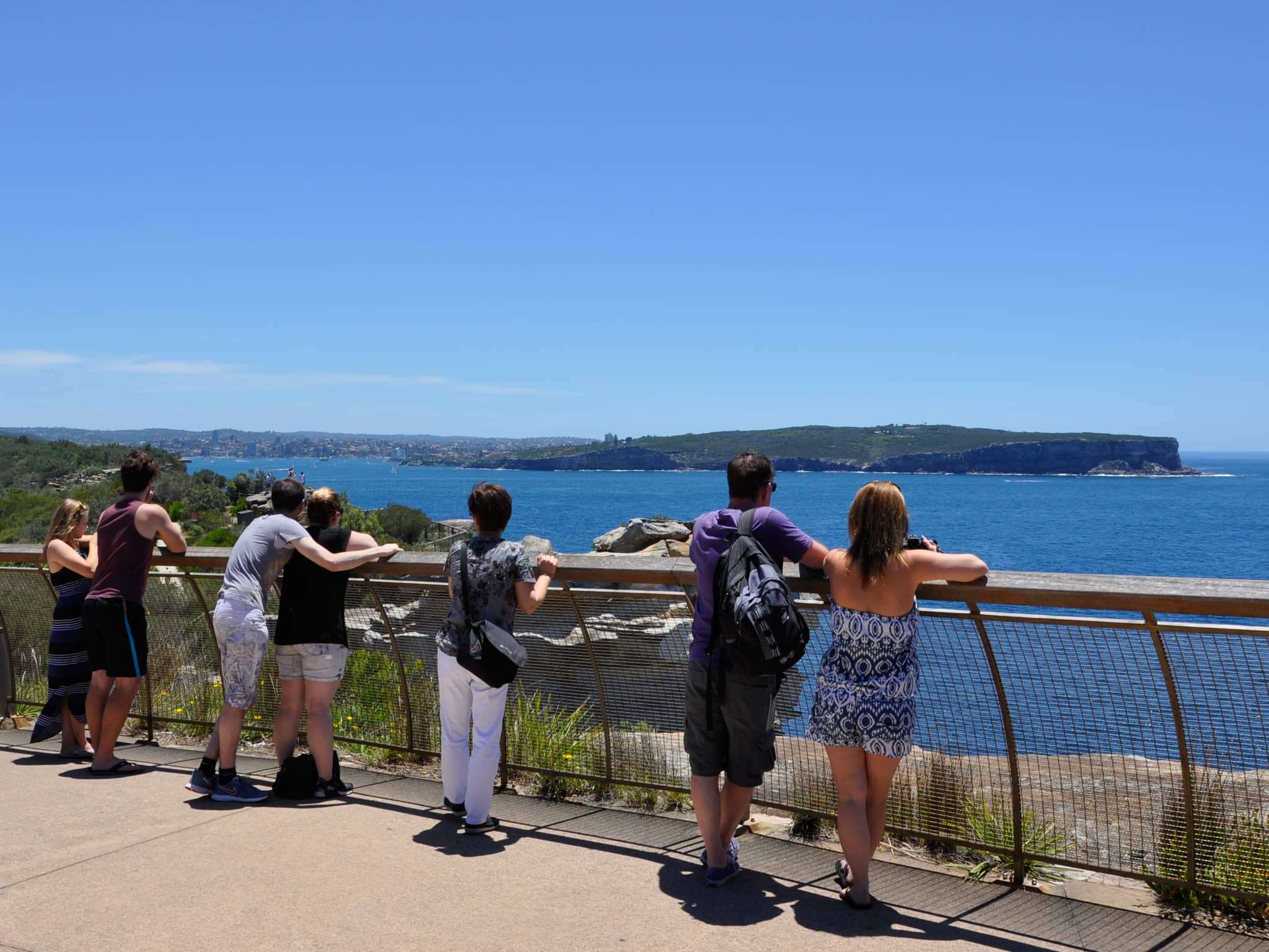 Sydney City Highlights Panoramic Bus Tour