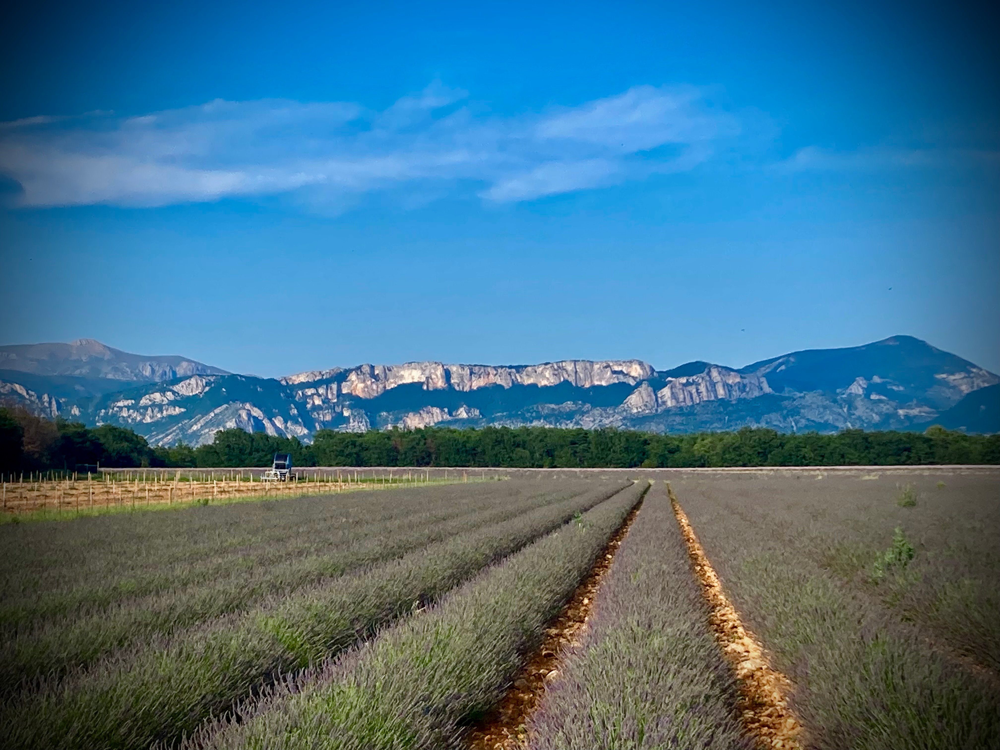 Bespoke Luxury Sightseeing Experiences