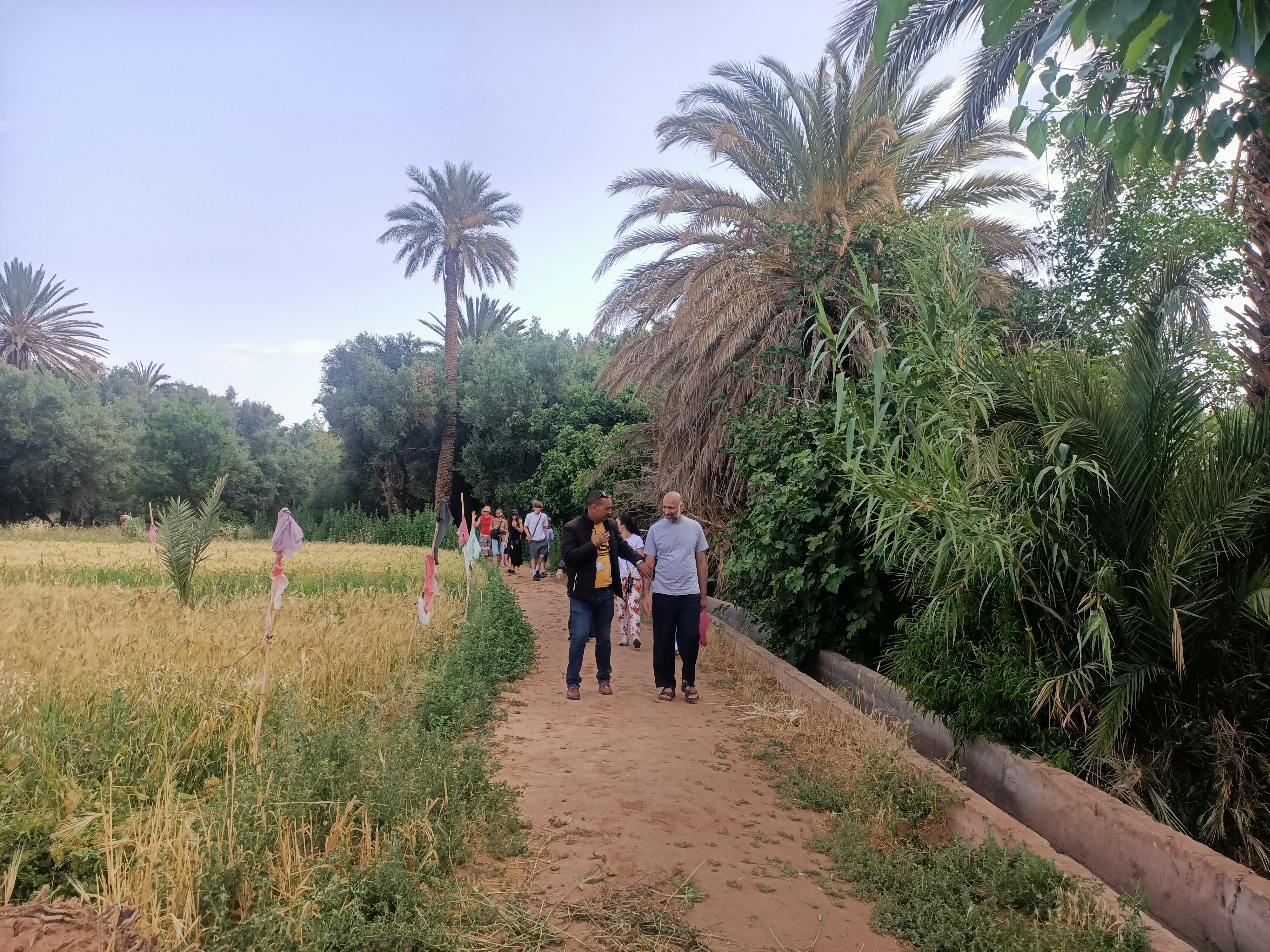 3-Day Sahara Desert Adventure: Marrakech to Fes via Merzouga