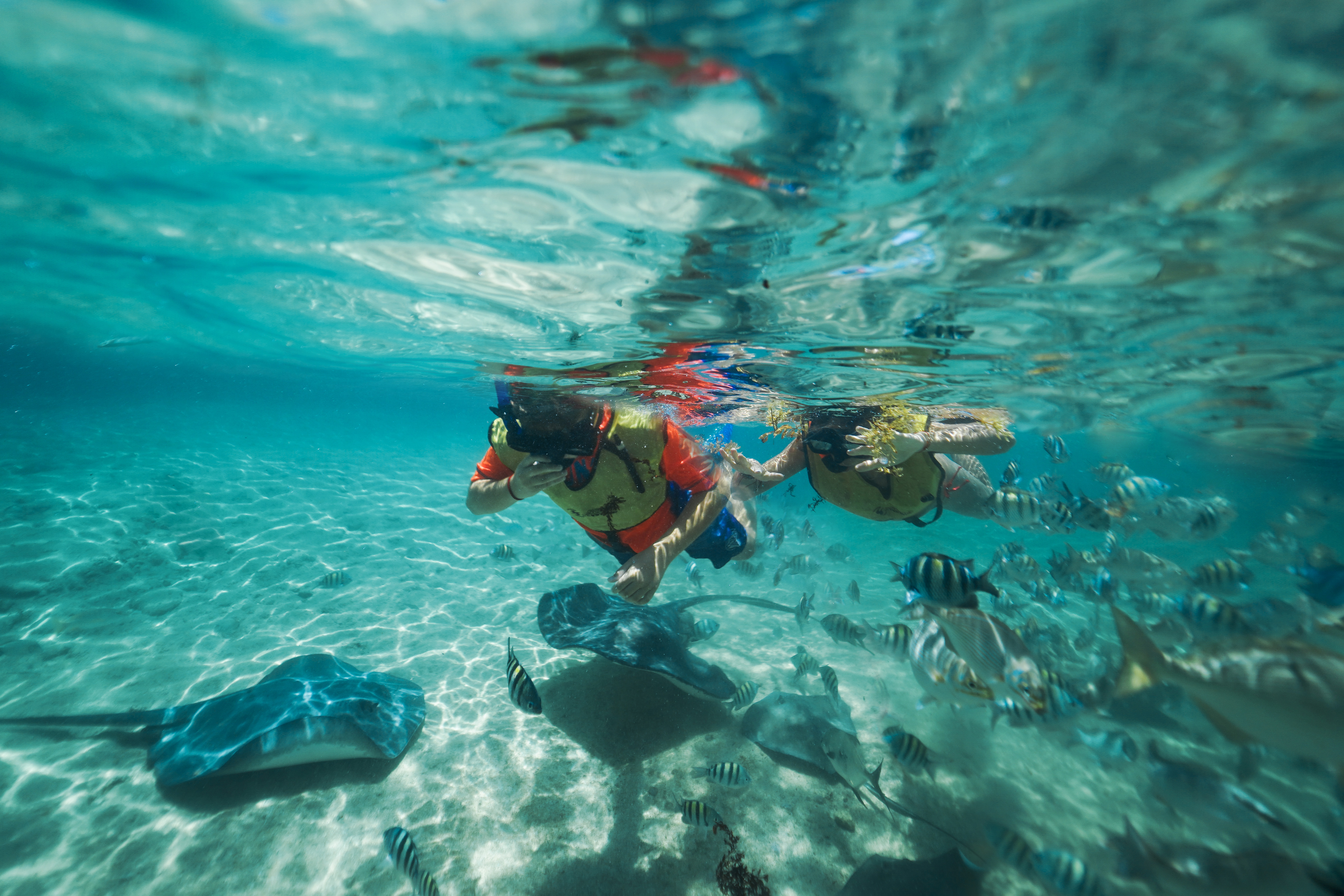 Stingray Encounter & Snorkeling Adventure