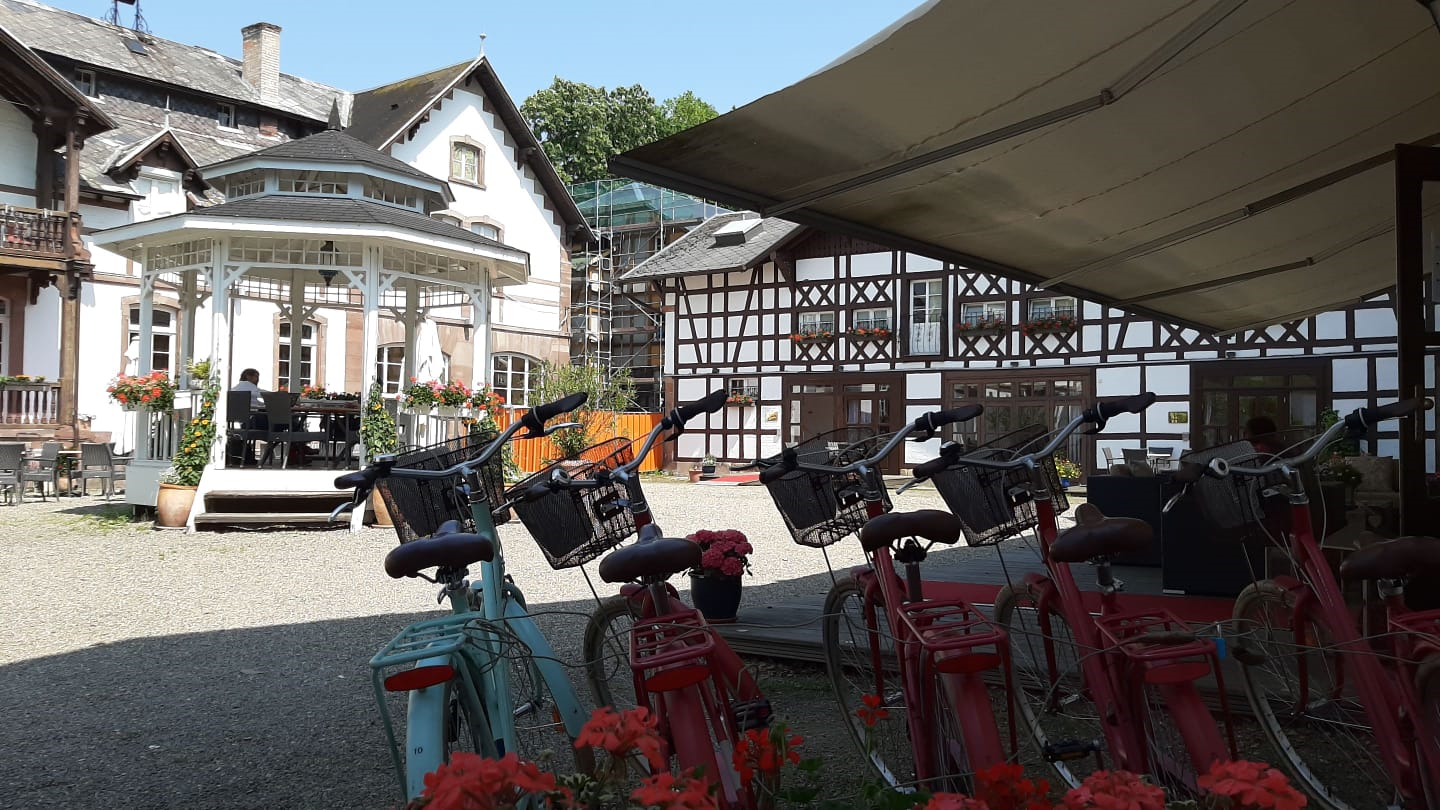 Guided Bicycle Adventure Through Strasbourg
