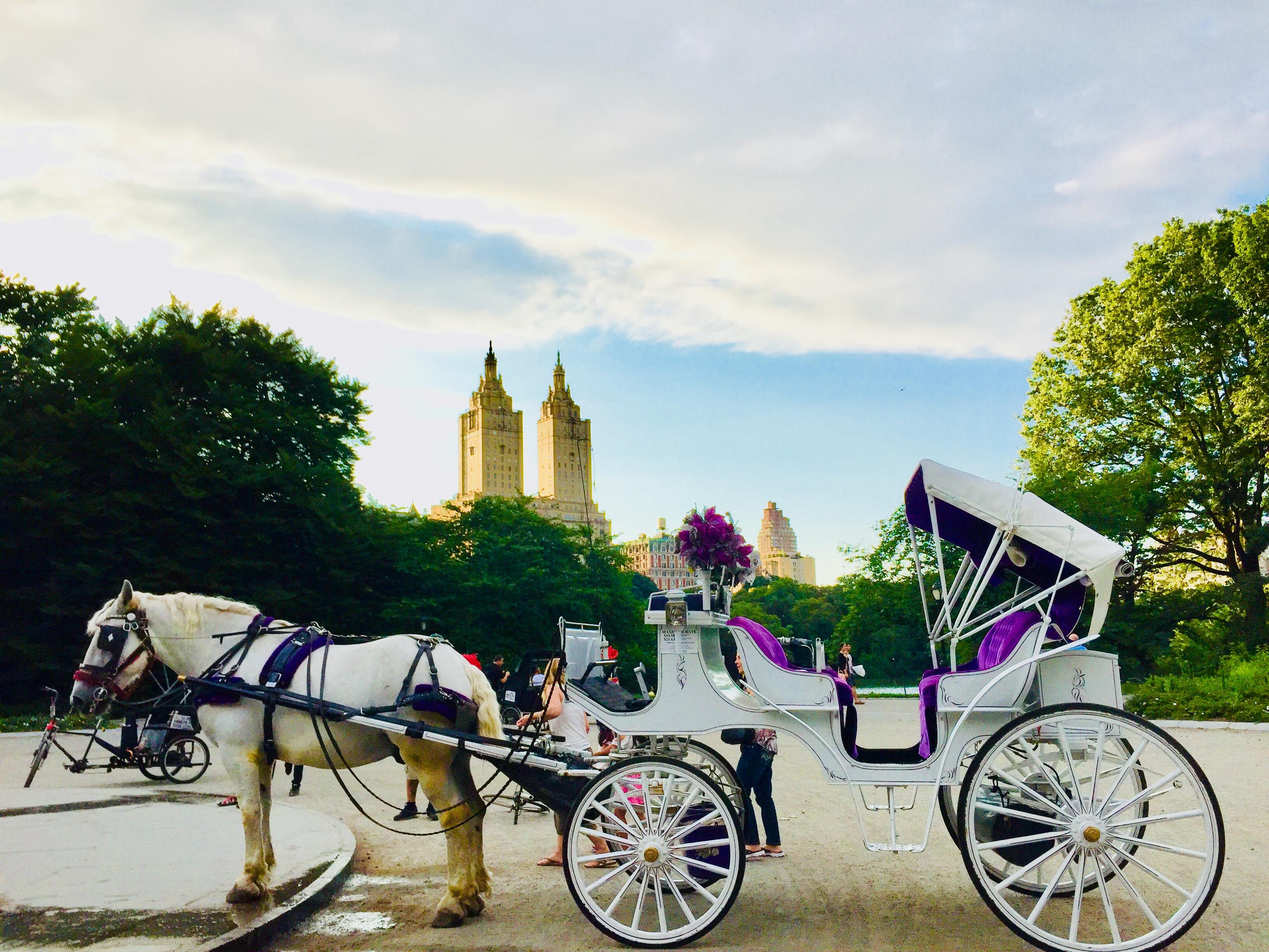 Private VIP Horse Carriage Tour of Central Park