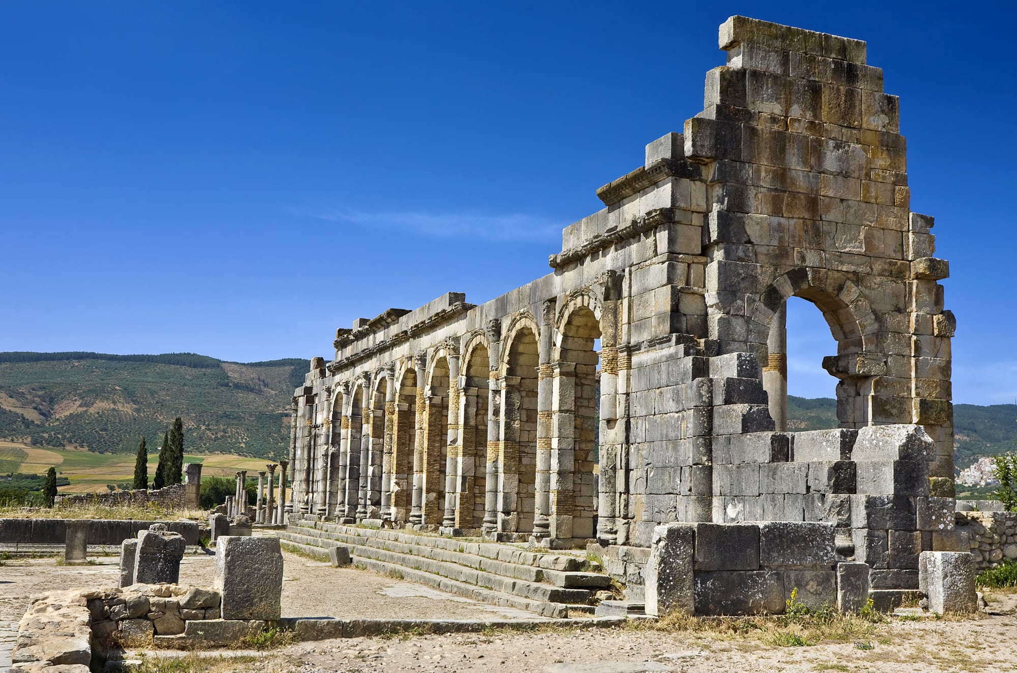 Private Heritage Tour: Volubilis, Moulay Idriss & Meknes