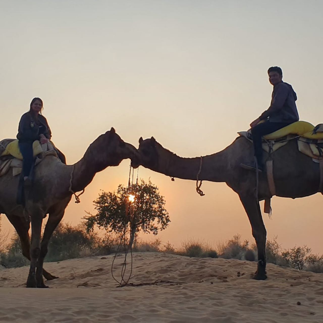 Thar Desert Overnight Camel Safari & Village Stay
