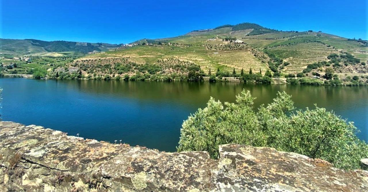 Douro Valley Private Day Tour: Twin Vineyard Visits & River Cruise from Porto