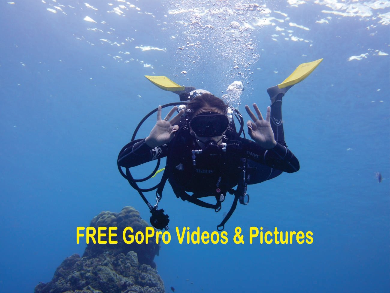 Beginner Scuba Diving Experience