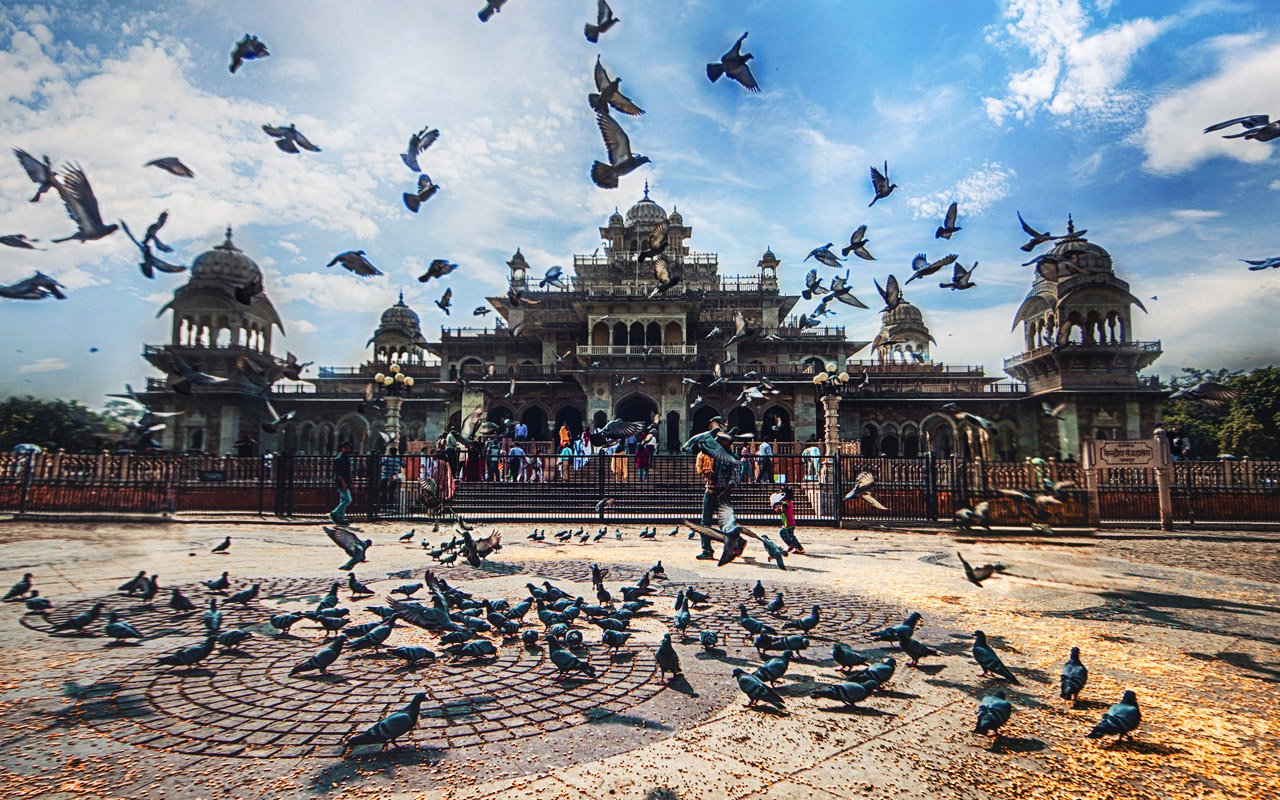 Jaipur Photography & Instagram Private Day Tour
