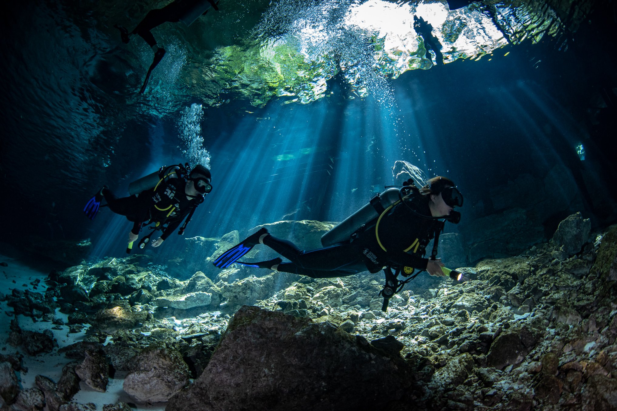 Dos Ojos Cenote Twin Dive Experience