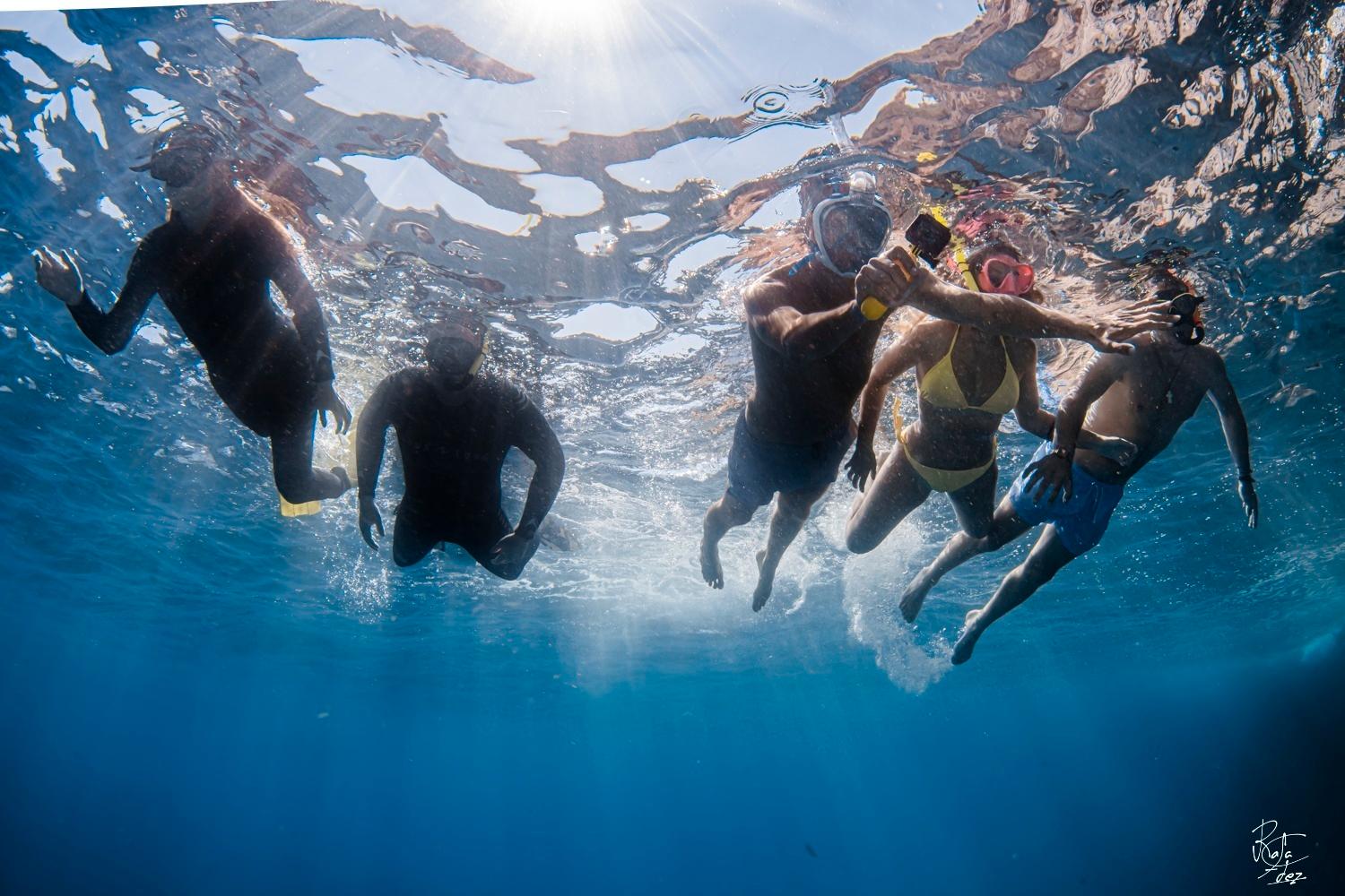 Medes Islands Snorkeling & Glass-Bottom Boat Experience
