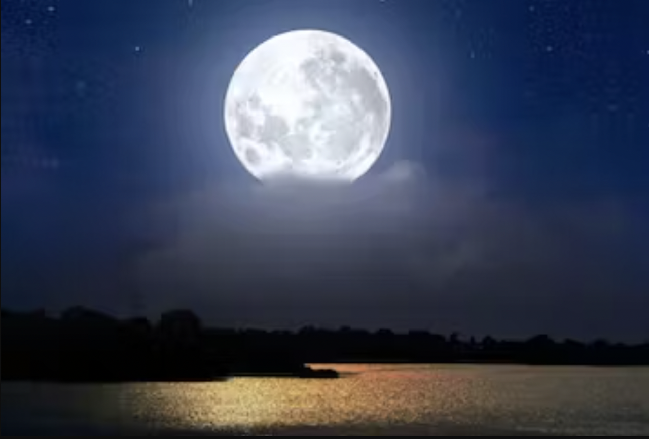 Moonlit Marsh Tour: Ghost Tales & Pirate Legends