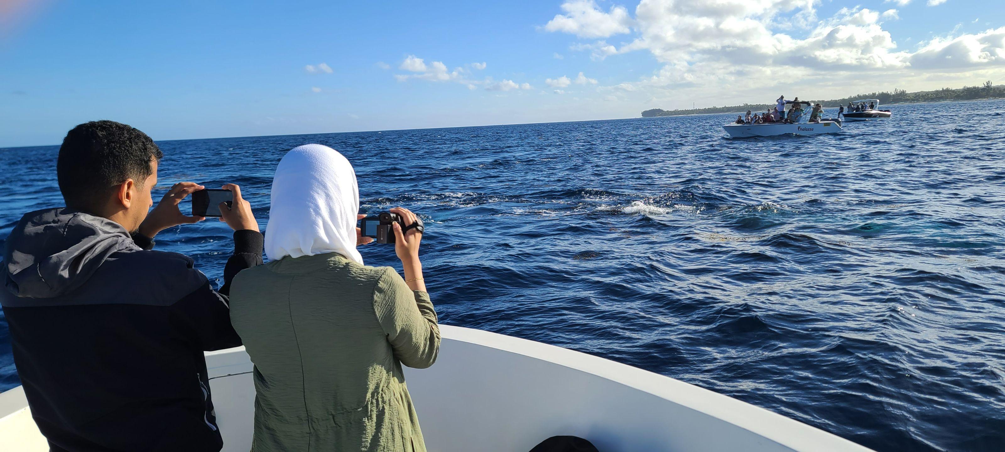 Private Dolphin Encounter & Island BBQ Excursion