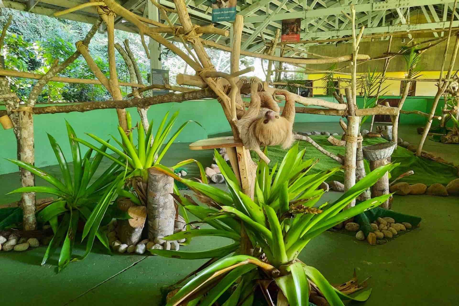 Panama Canal, Monkey Island & Sloth Sanctuary Expedition
