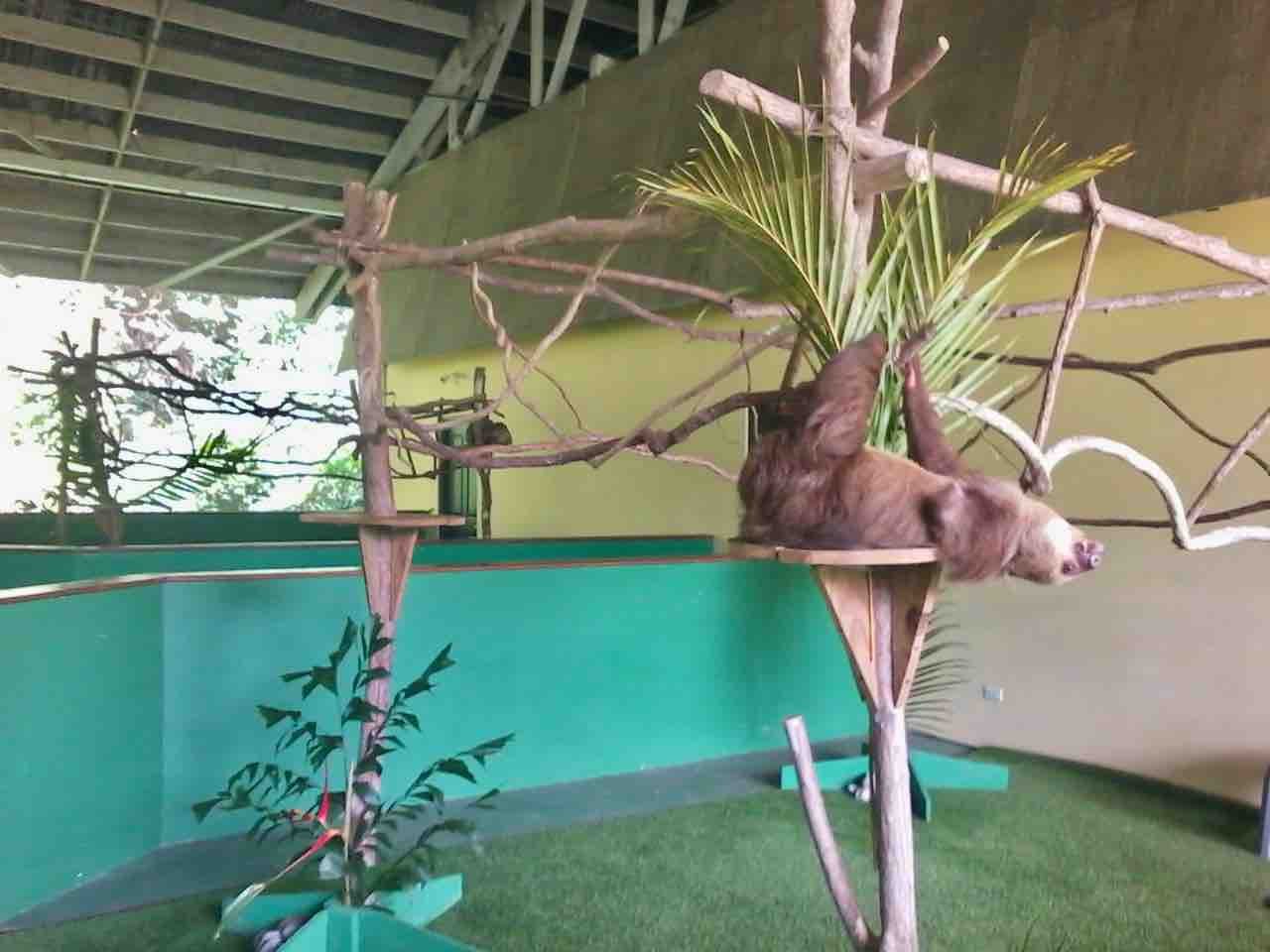 Panama Canal, Monkey Island & Sloth Sanctuary Expedition