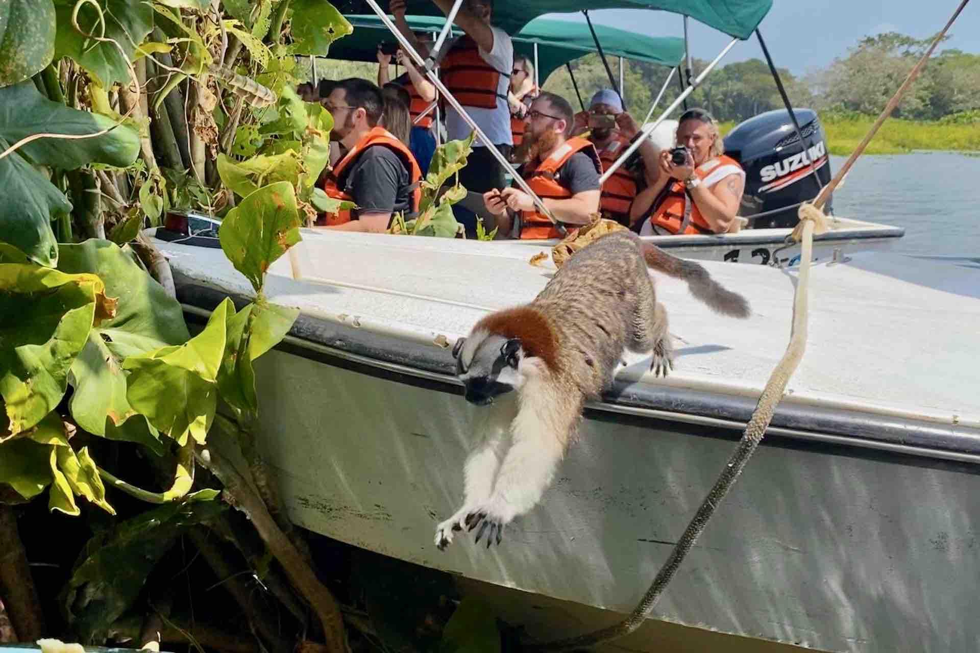 Panama Canal, Monkey Island & Sloth Sanctuary Expedition