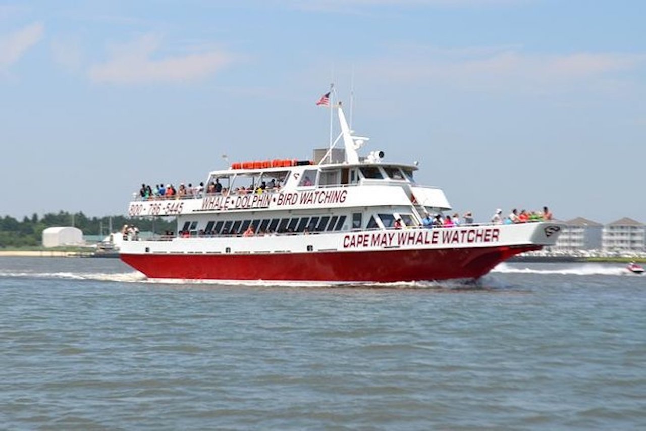 Cape May Grand Lighthouse Cruise