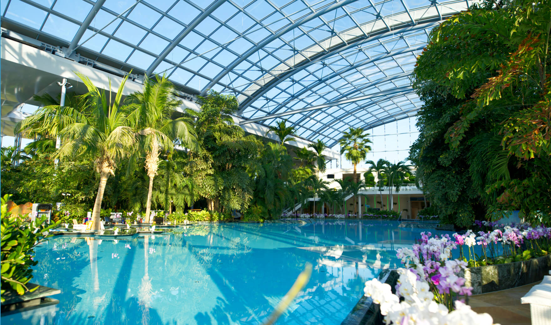 Therme Bucharest Wellness Escape: Round-Trip Transport & Entry