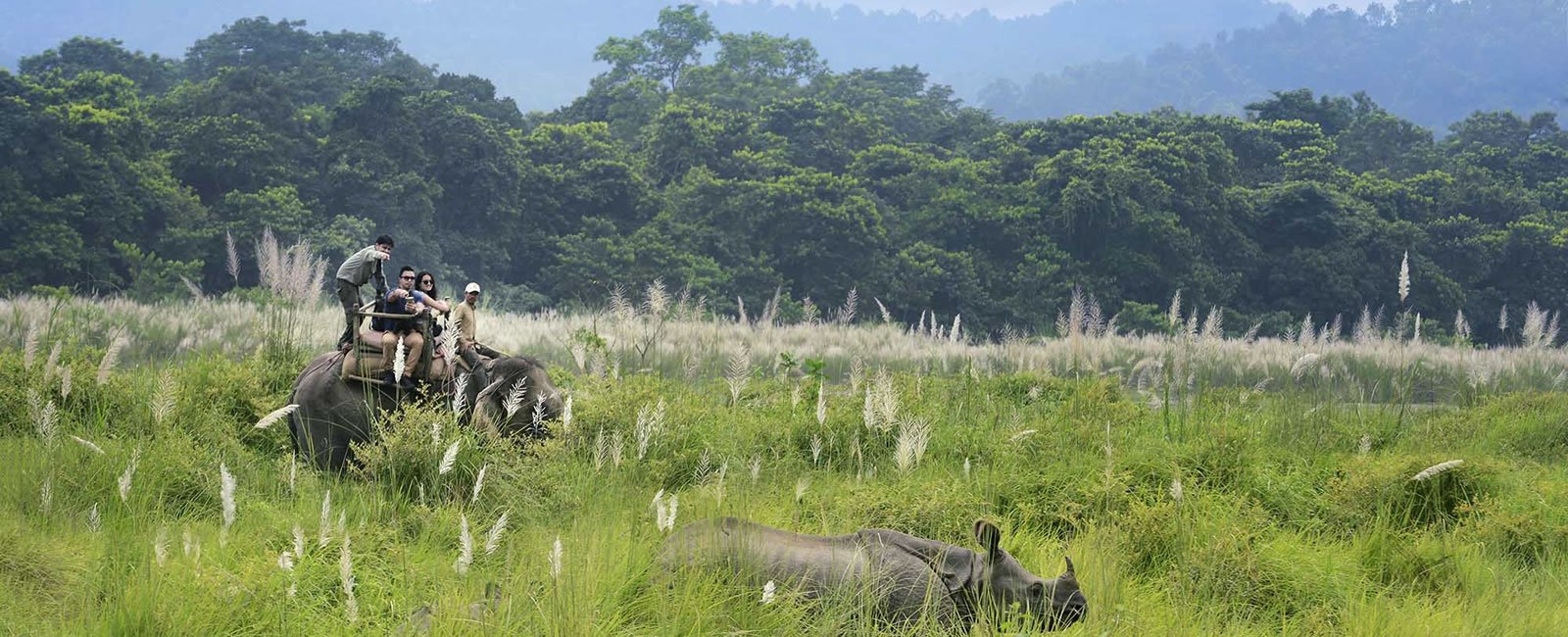3-Day Chitwan National Park Jungle Safari from Kathmandu