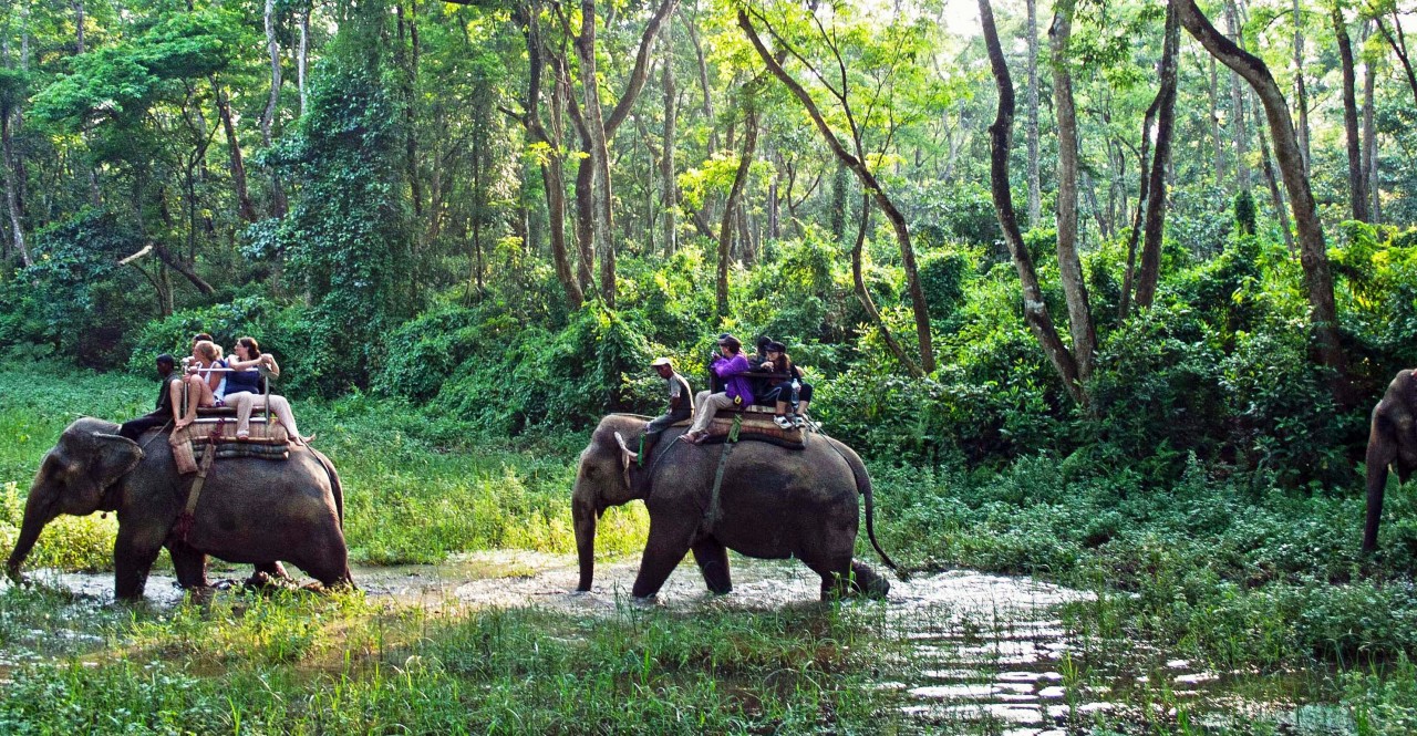 3-Day Chitwan National Park Jungle Safari from Kathmandu