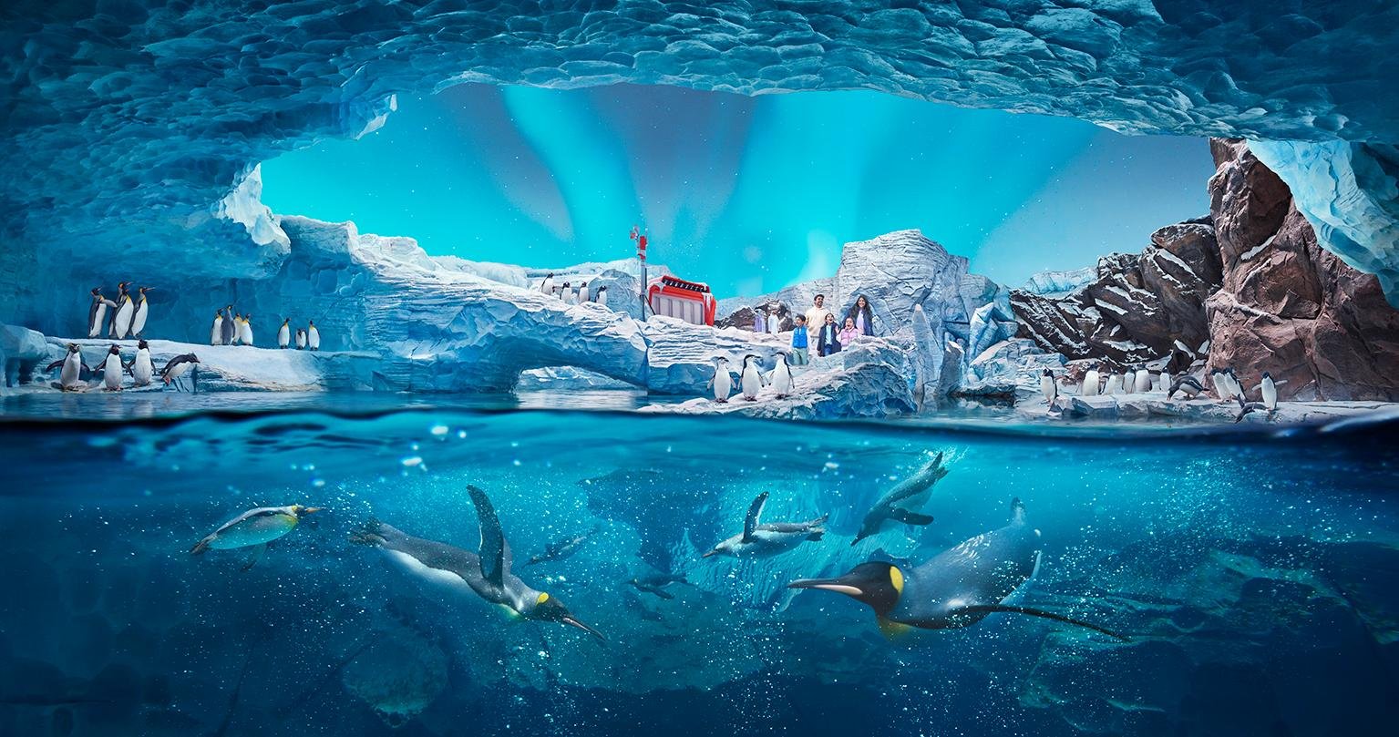Abu Dhabi: SeaWorld Yas Island Entry Ticket & Add-On Experiences