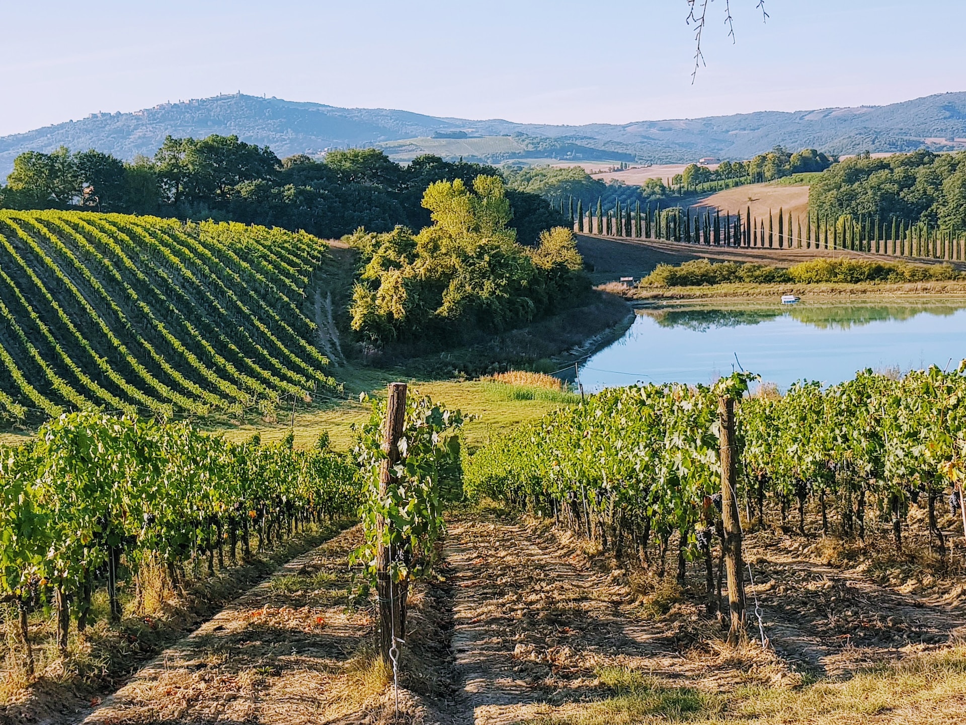 Chianti Sunset Wine Tour from Florence