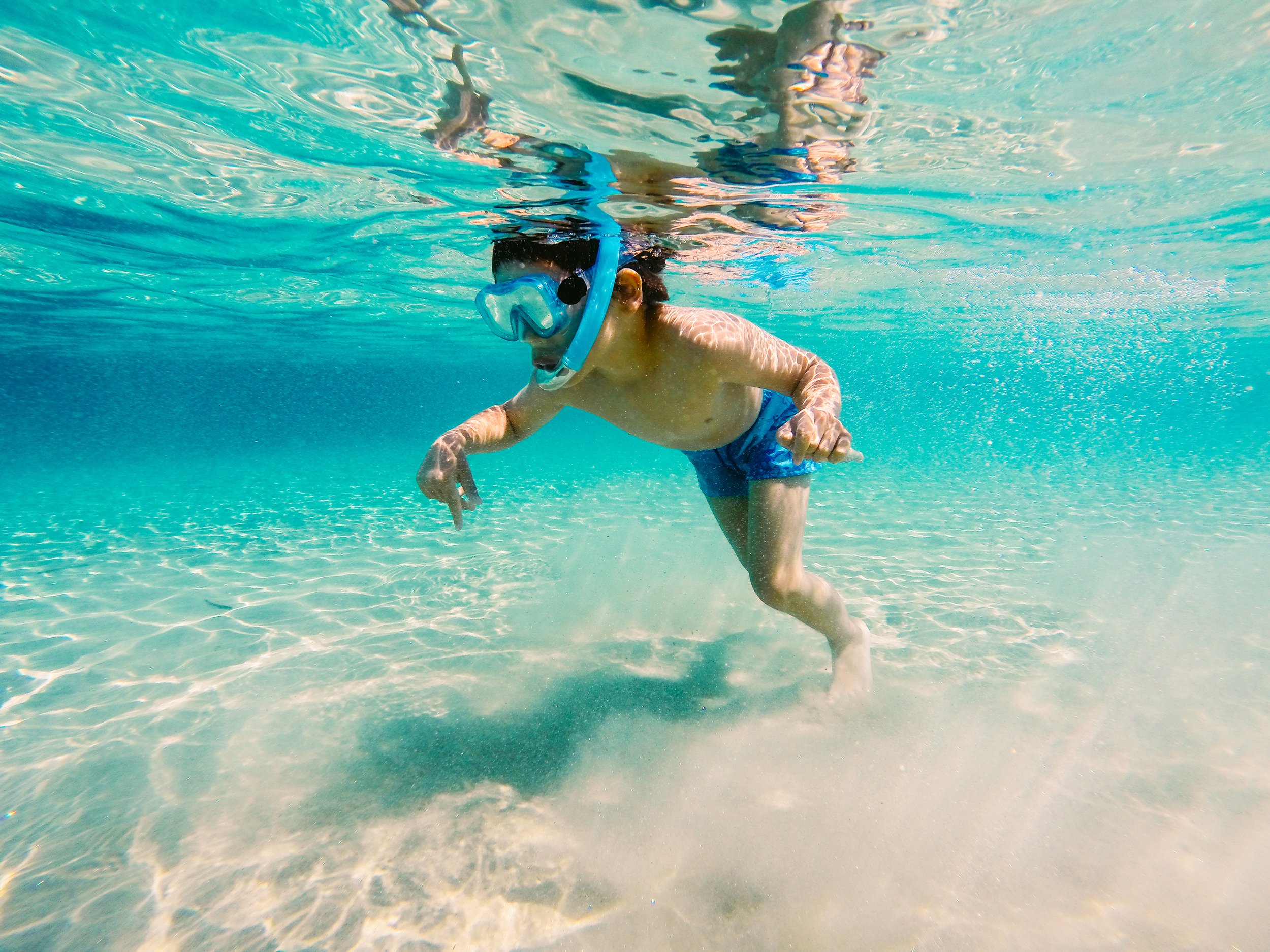 Morning Dolphin & Snorkel Adventure