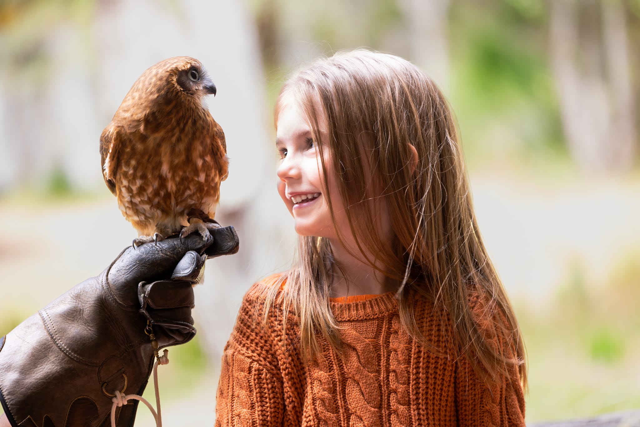 Birds of Prey Trail & Flight Display at Capes Raptor Centre