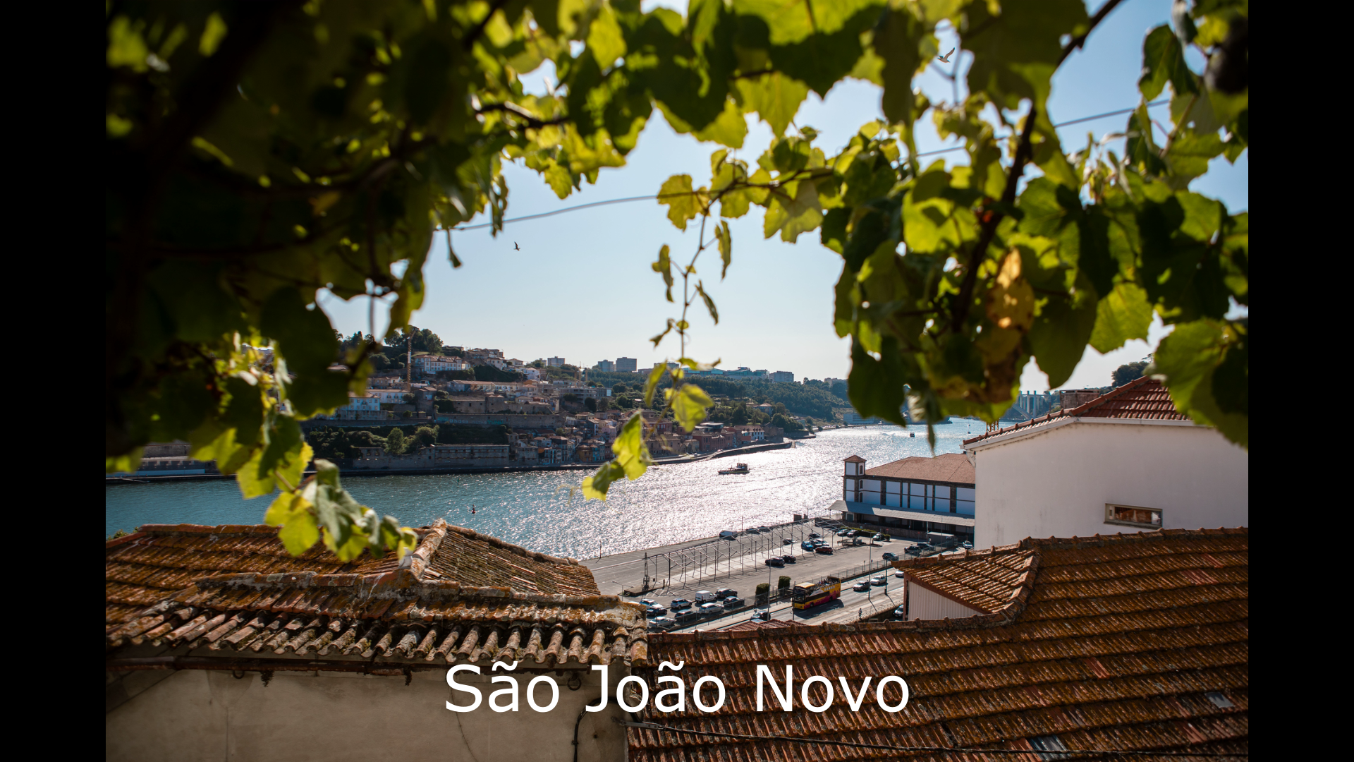 Porto fado show, fado house interior and Portuguese guitar — image 6