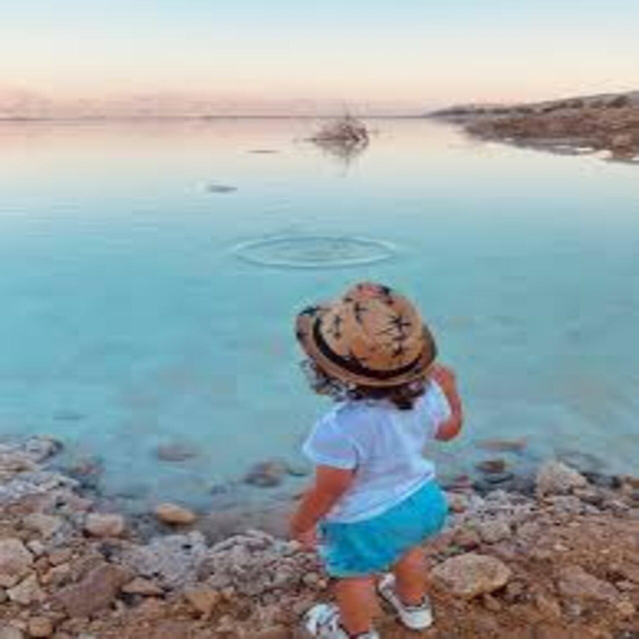 Private Transfer: Dead Sea to Queen Alia Airport or Amman