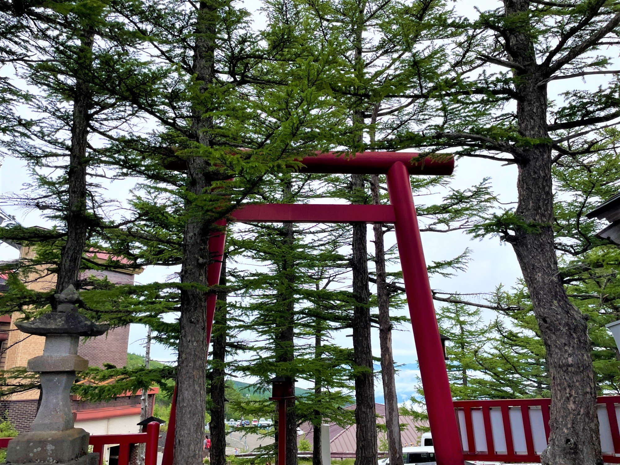 Mt. Fuji & Hakone Day Tour from Tokyo with Bullet Train Return