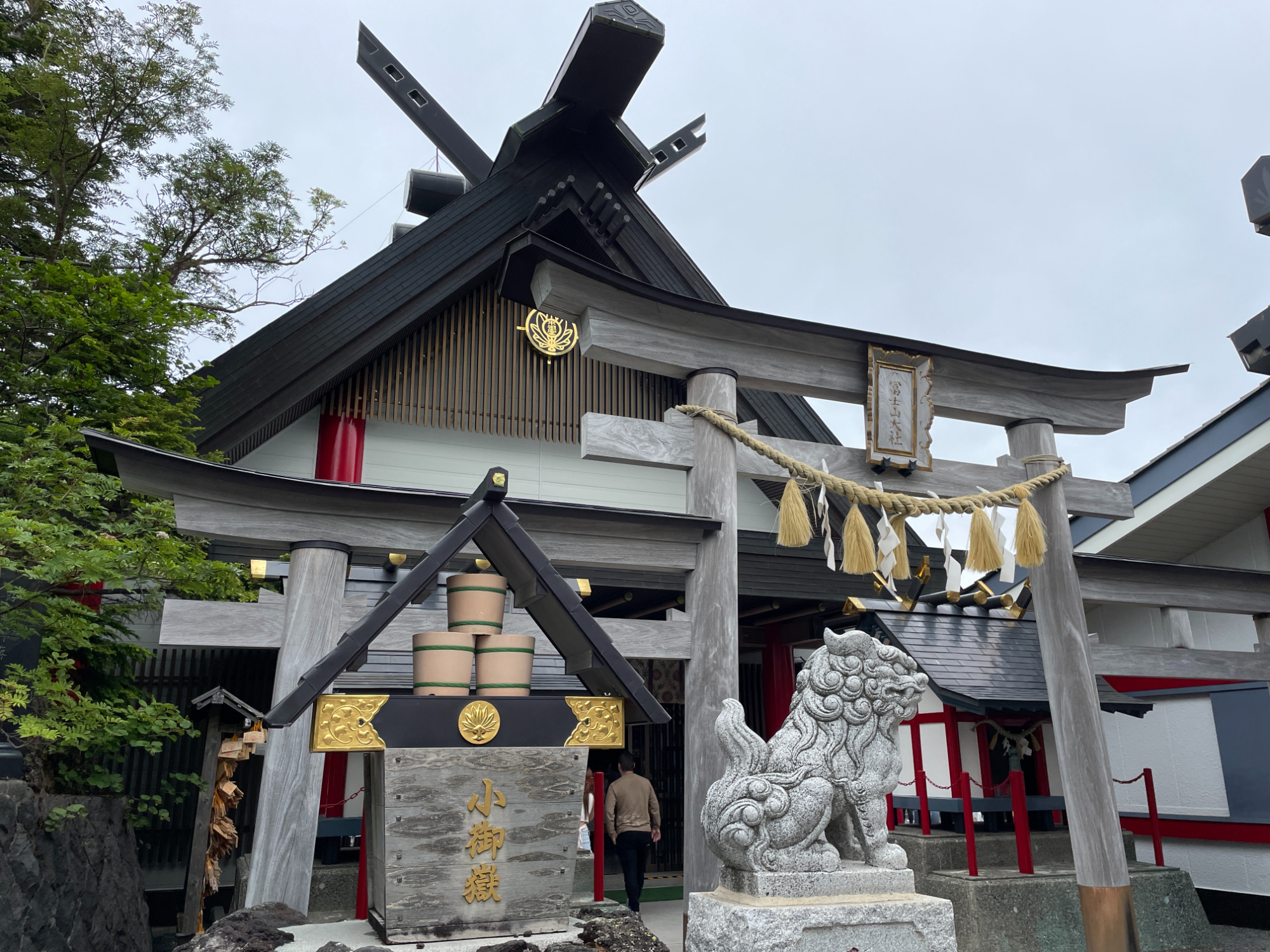 Mt. Fuji & Hakone Day Tour from Tokyo with Bullet Train Return