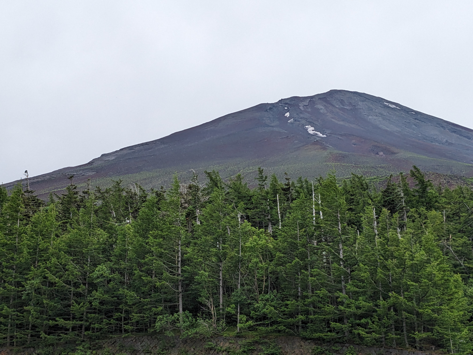 Mt. Fuji & Hakone Day Tour from Tokyo with Bullet Train Return