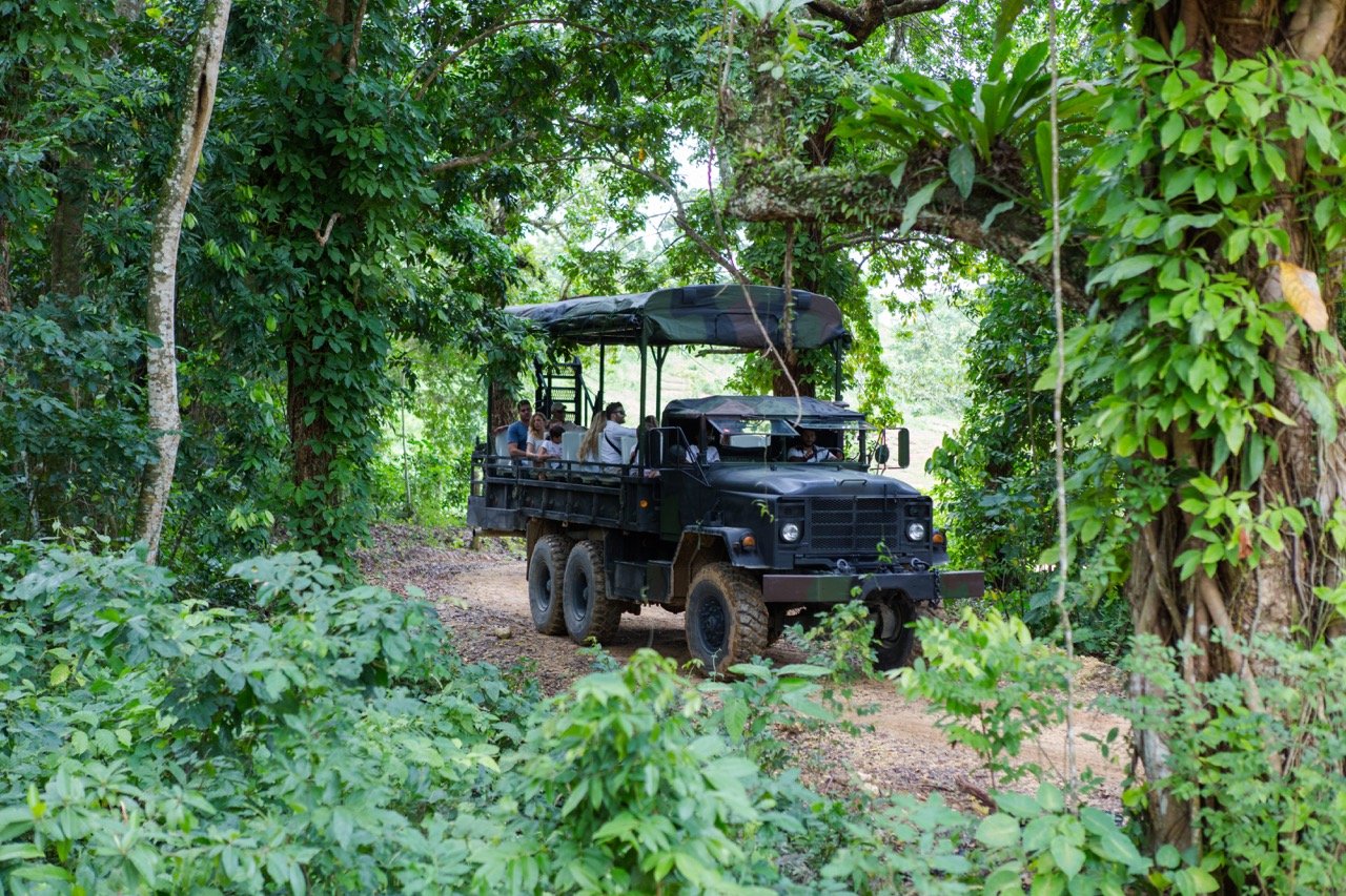 La Hacienda Park Punta Cana: Ziplines, Buggy, Chairlift & Horseback Combo