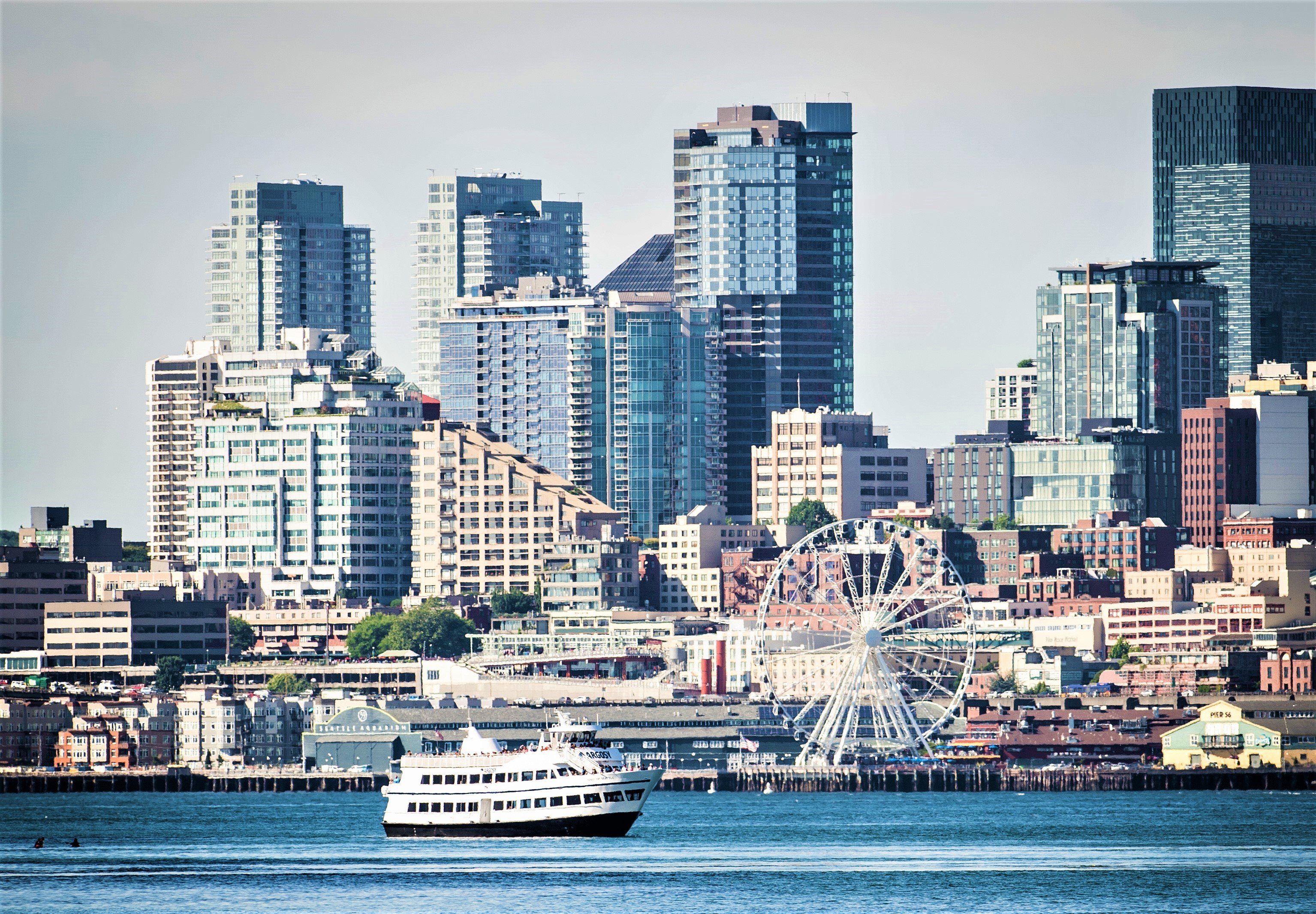 Seattle Harbor Sightseeing Cruise