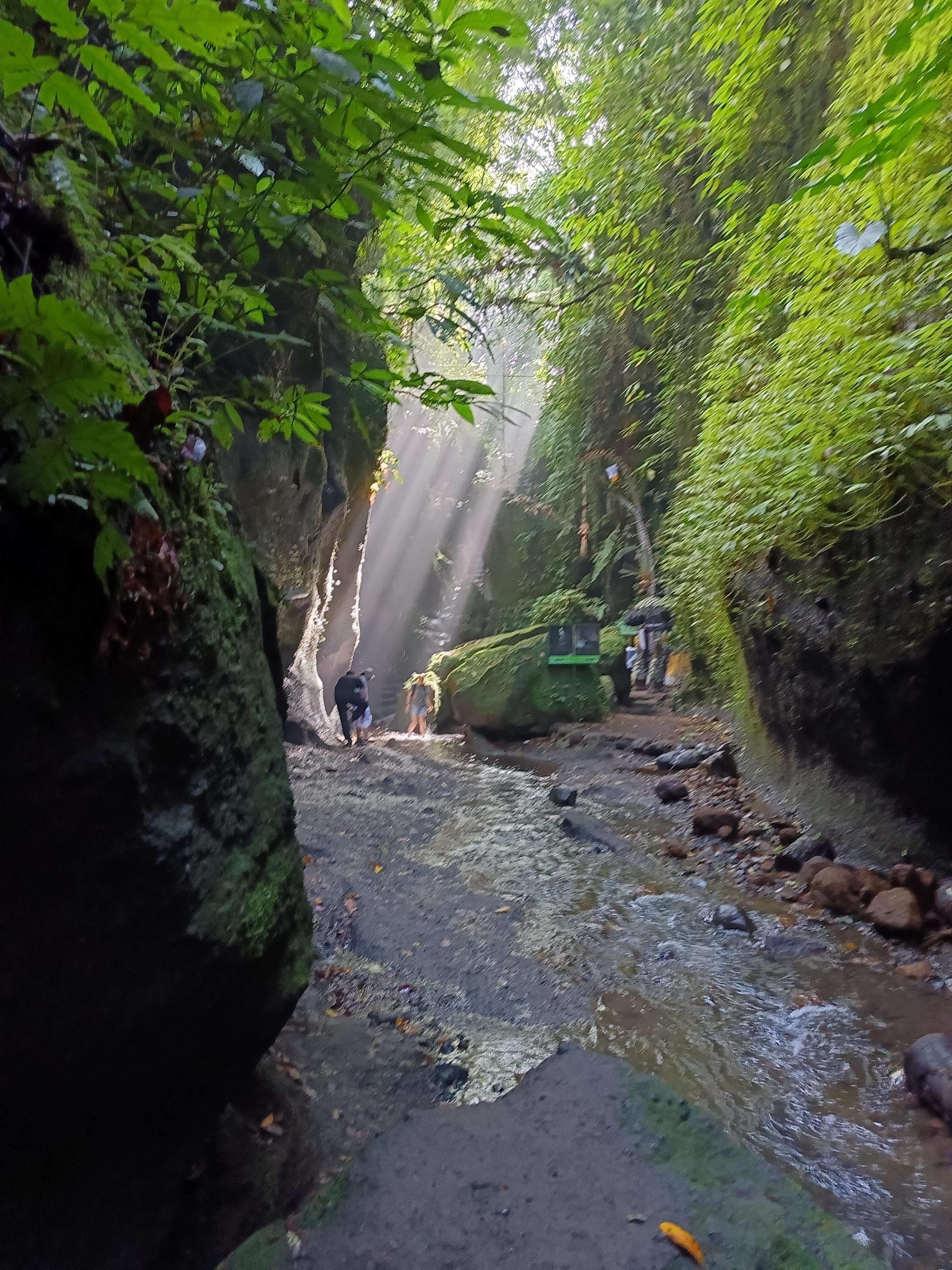 Ubud Cultural Discovery: Sacred Springs, Rice Terraces & Waterfalls
